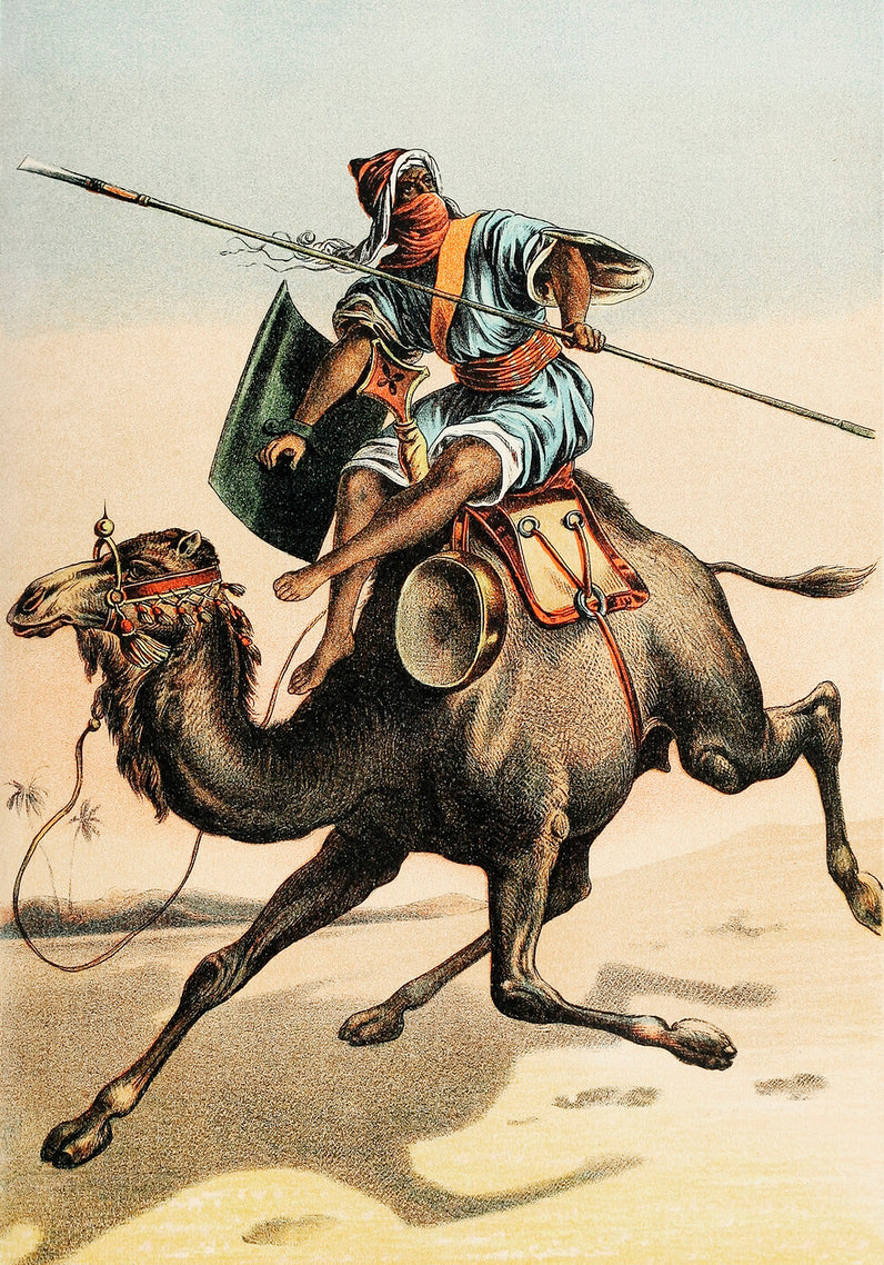 Camel - painting 3 : 4.2 Vertical Premium Wall Art Canvas by MeriDeewar