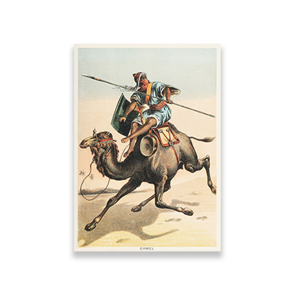 Camel - painting 3 : 4.2 Vertical Premium Wall Art Canvas by MeriDeewar