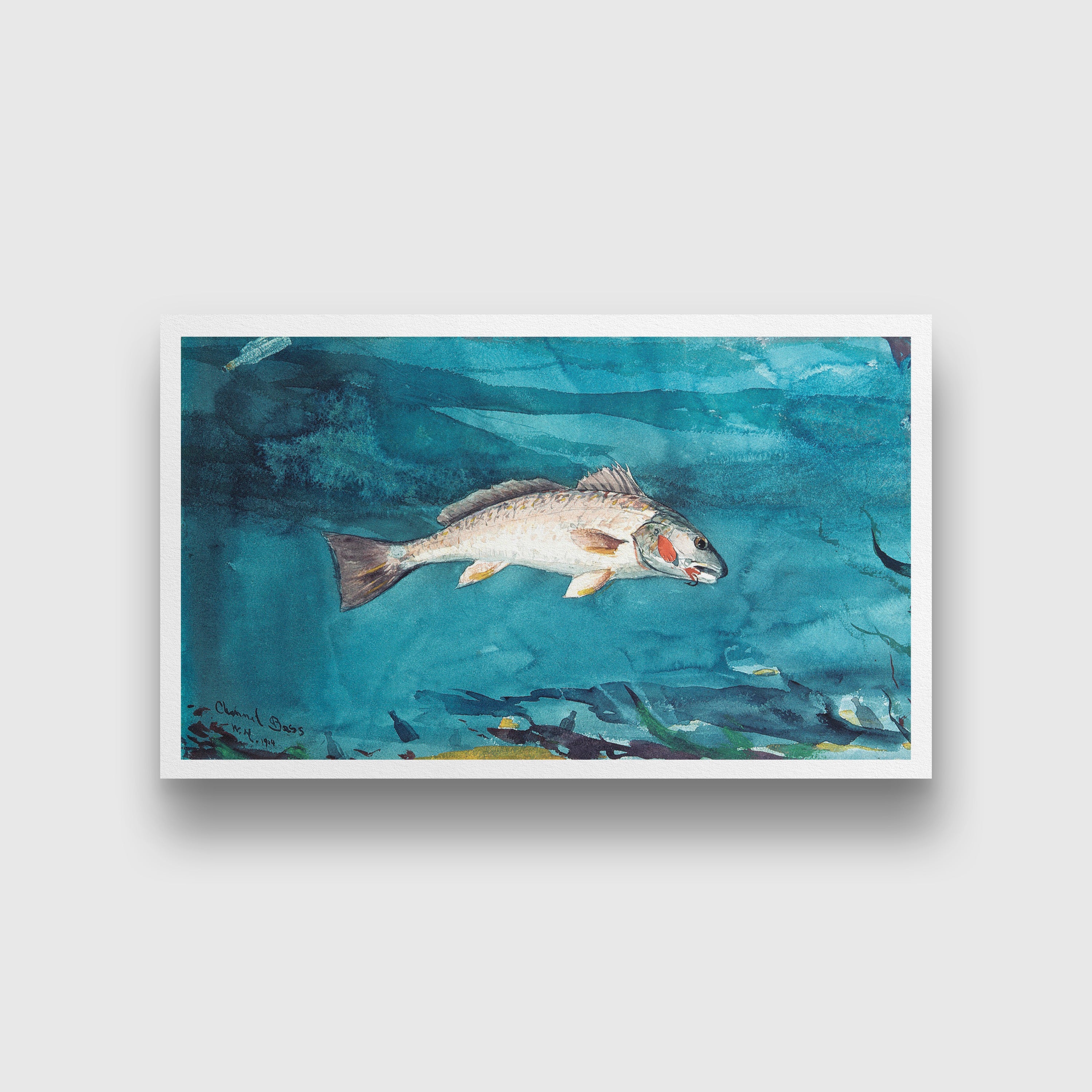 Channel Bass painting - Meri Deewar 2 : 1 Horizontal Premium Wall Art Canvas by MeriDeewar