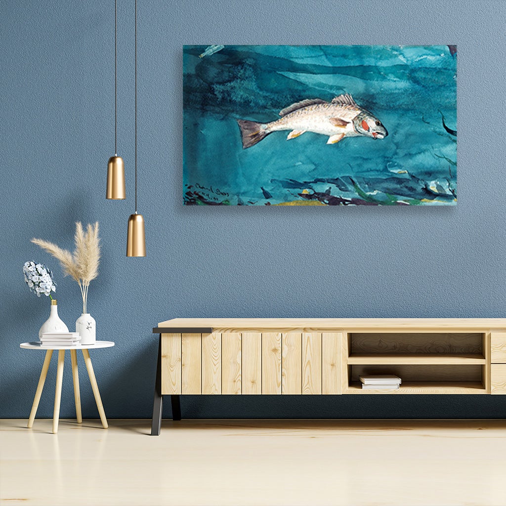 Channel Bass painting - Meri Deewar 2 : 1 Horizontal Premium Wall Art Canvas by MeriDeewar