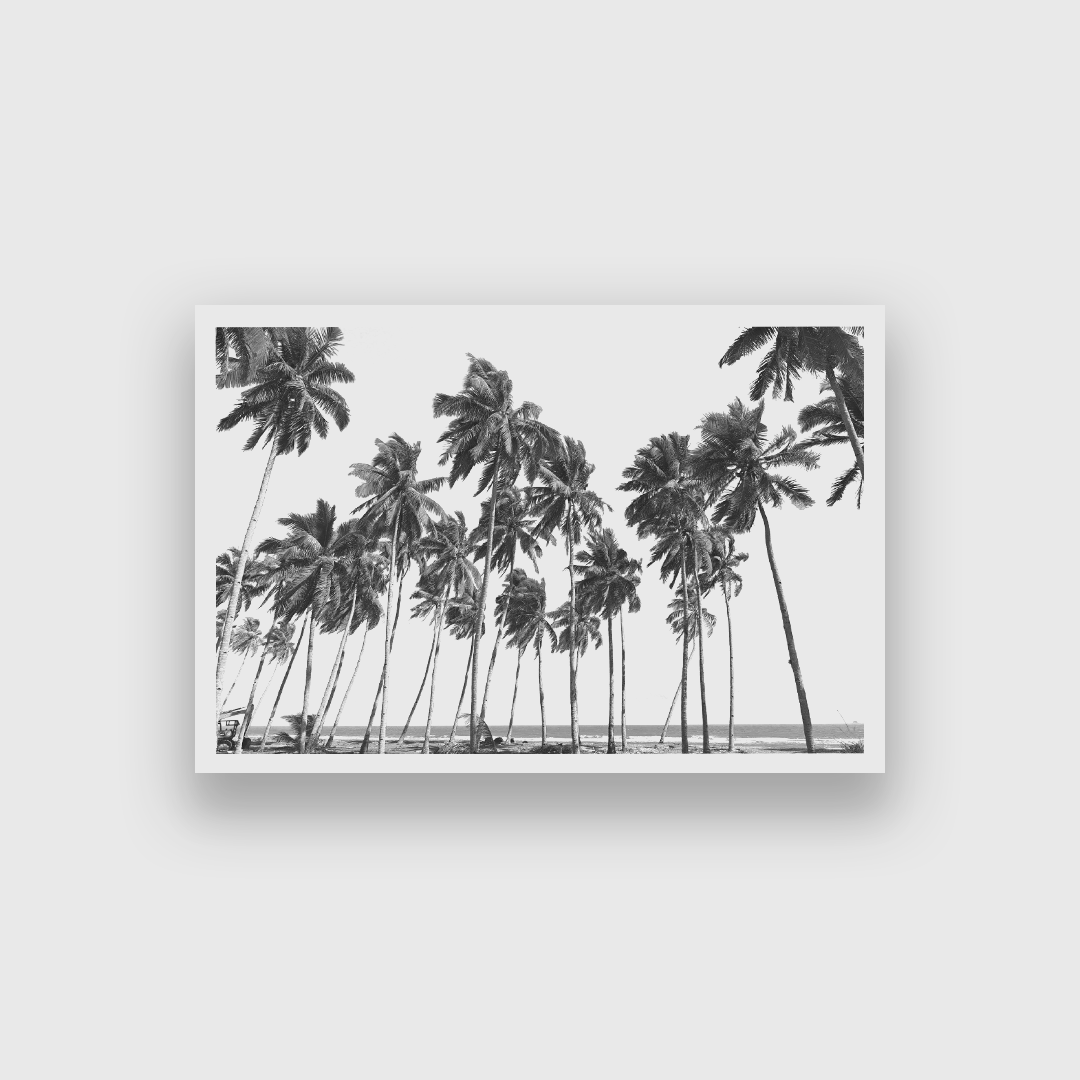 Coconut Trees Framed Wall Painting 3 : 2 Horizontal Premium Wall Art Canvas by MeriDeewar