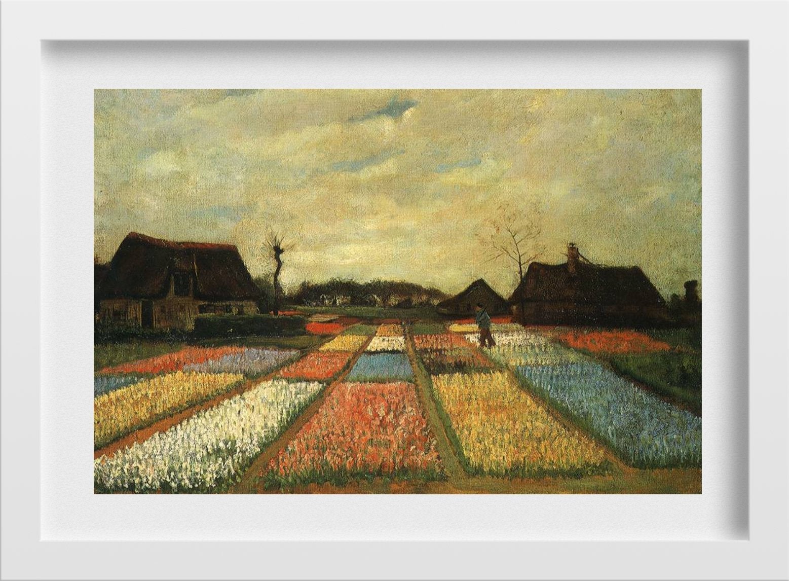 colourful flowers landscape Painting - Meri Deewar 3 : 2 Horizontal Premium Wall Art Canvas by MeriDeewar