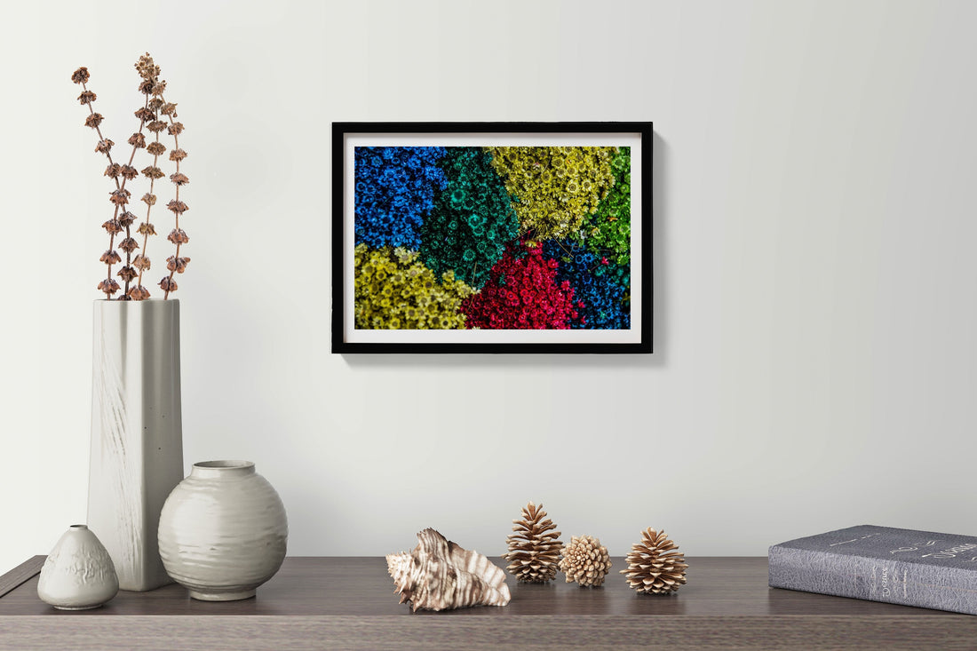 colourful flowers Painting - Meri Deewar 3 : 2 Horizontal Premium Wall Art Canvas by MeriDeewar