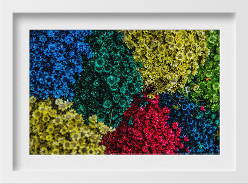 colourful flowers Painting - Meri Deewar 3 : 2 Horizontal Premium Wall Art Canvas by MeriDeewar