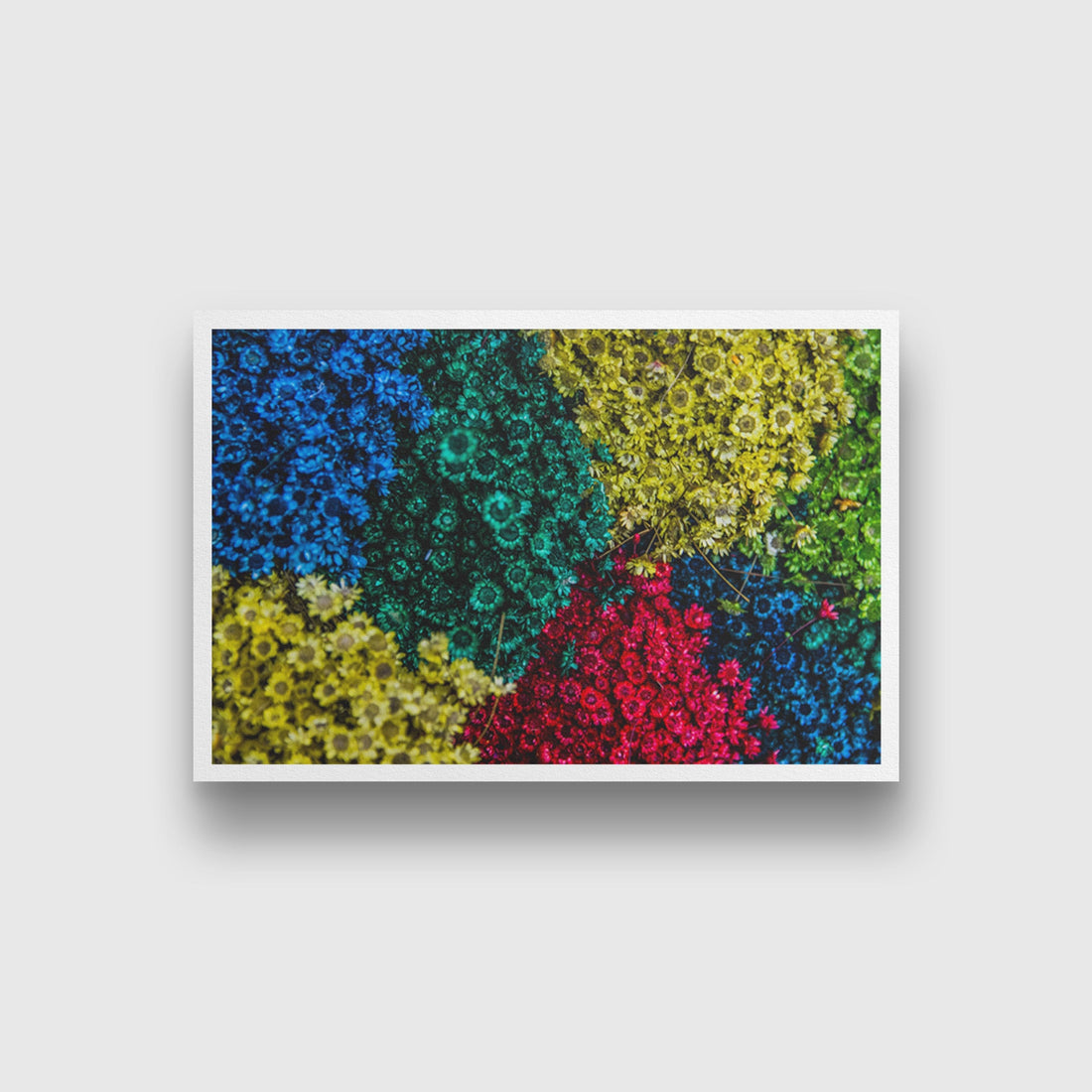 colourful flowers Painting - Meri Deewar 3 : 2 Horizontal Premium Wall Art Canvas by MeriDeewar