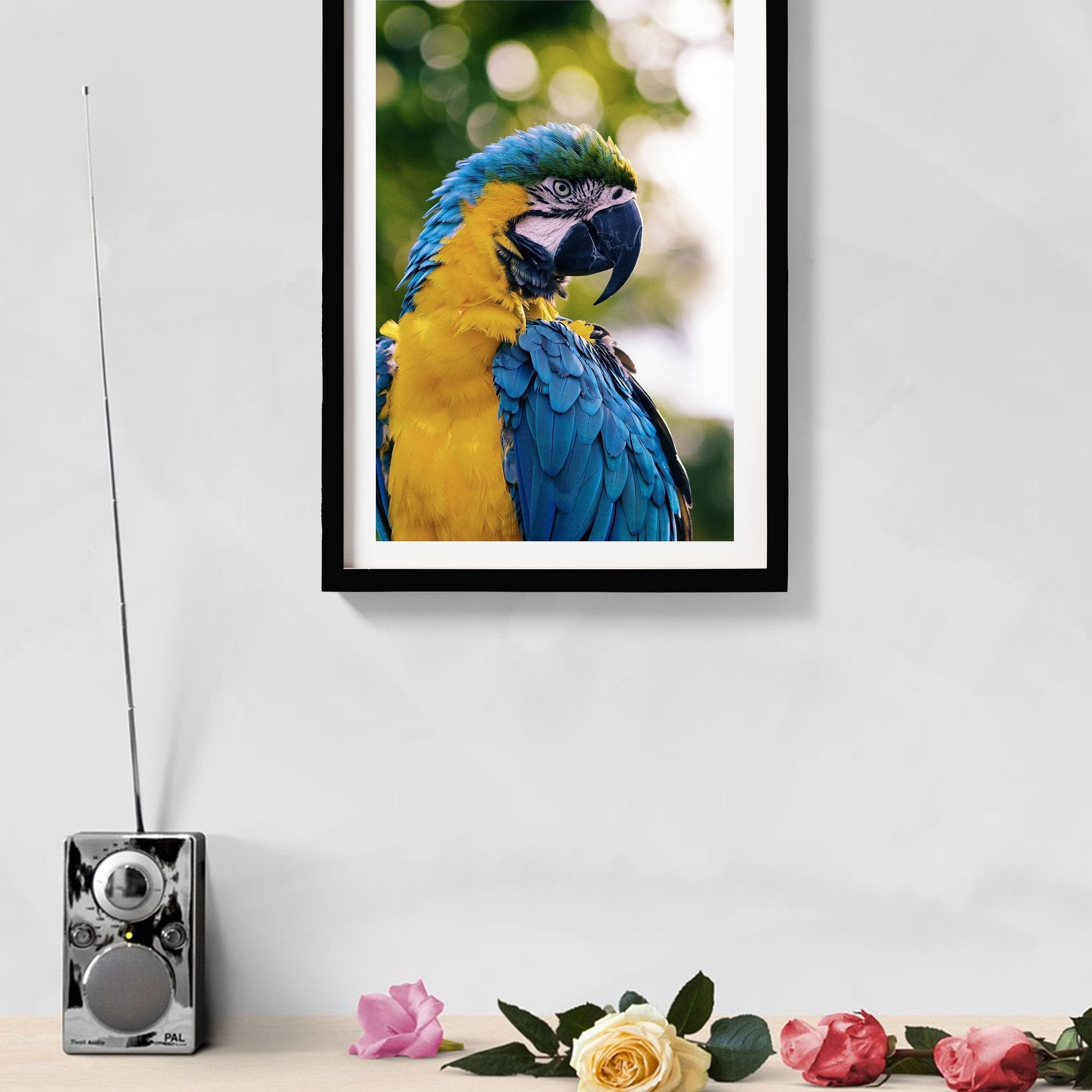 Colourful Parrot Painting - Meri Deewar 2 : 3 Vertical Premium Wall Art Canvas by MeriDeewar