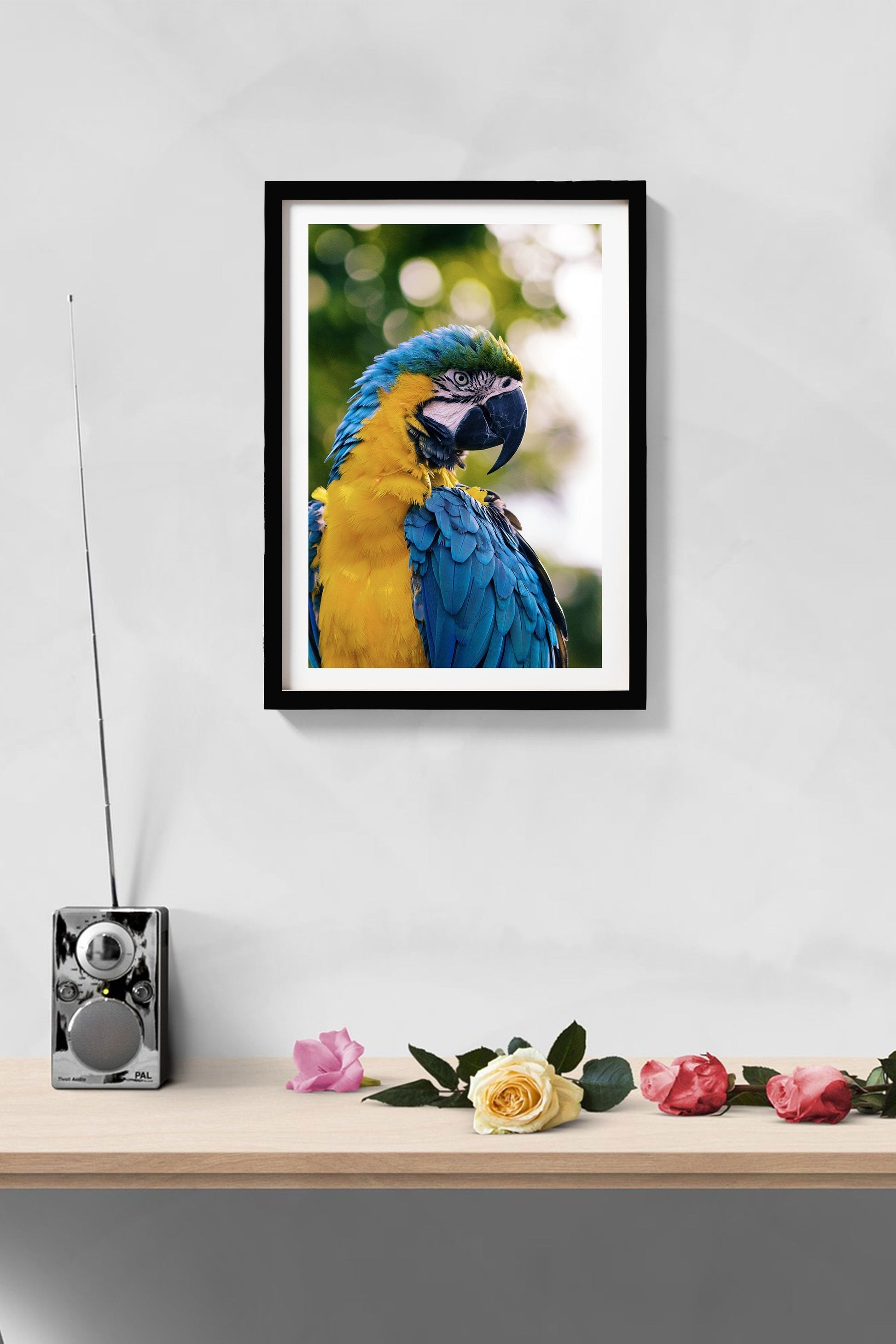 Colourful Parrot Painting - Meri Deewar 2 : 3 Vertical Premium Wall Art Canvas by MeriDeewar