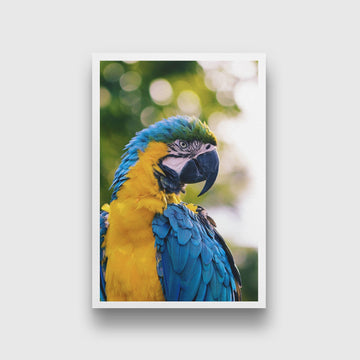 Colourful Parrot Painting - Meri Deewar 2 : 3 Vertical Premium Wall Art Canvas by MeriDeewar