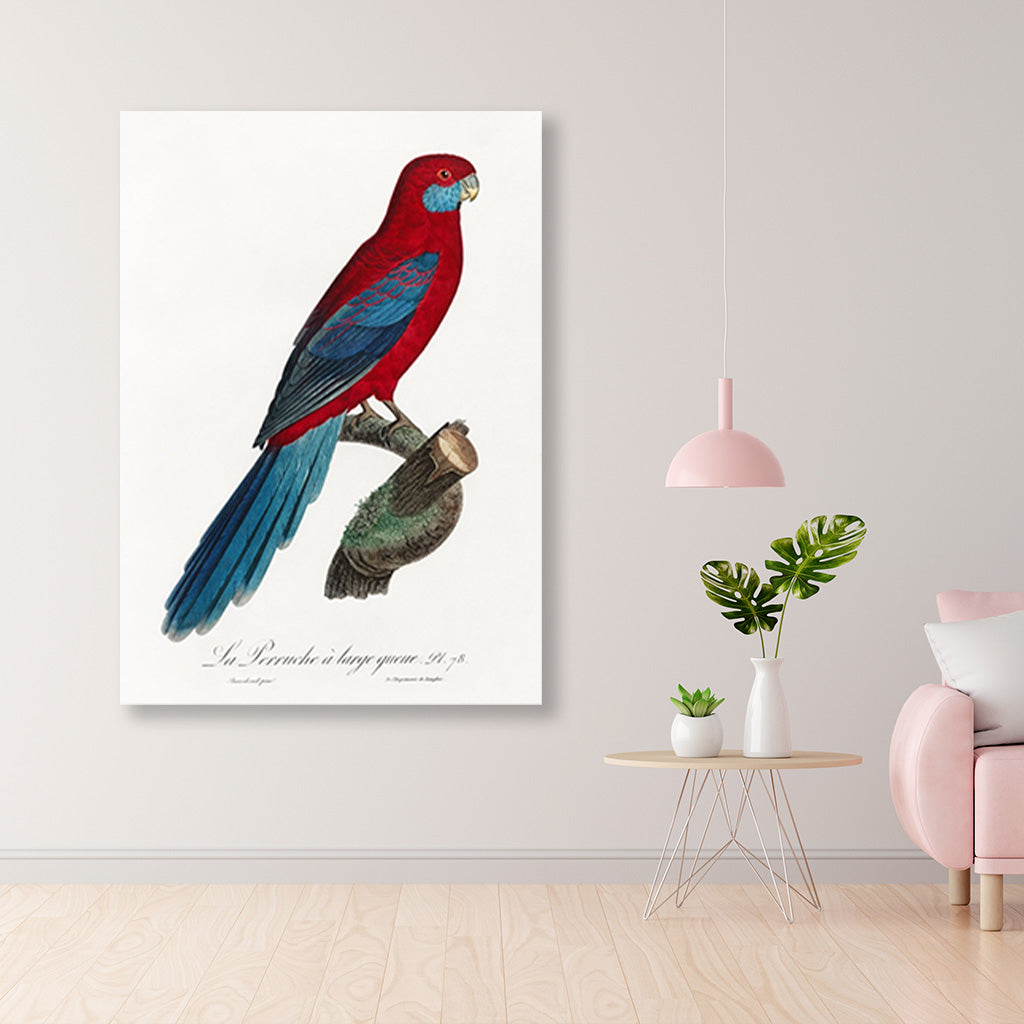 Crimson Rosella Painting - Meri Deewar 2 : 3 Vertical Premium Wall Art Canvas by MeriDeewar