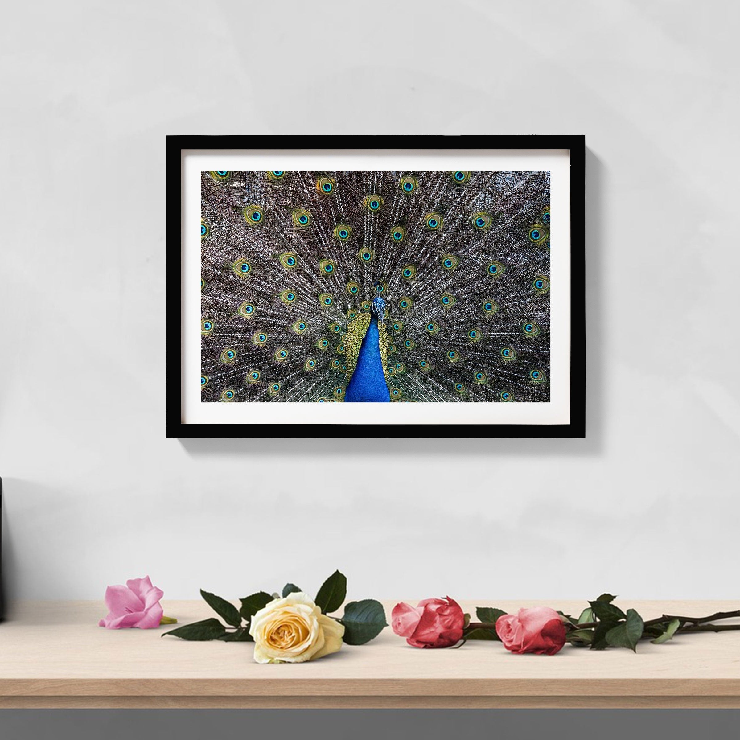 Dancing Peacock Painting - Meri Deewar 3 : 2 Horizontal Premium Wall Art Canvas by MeriDeewar