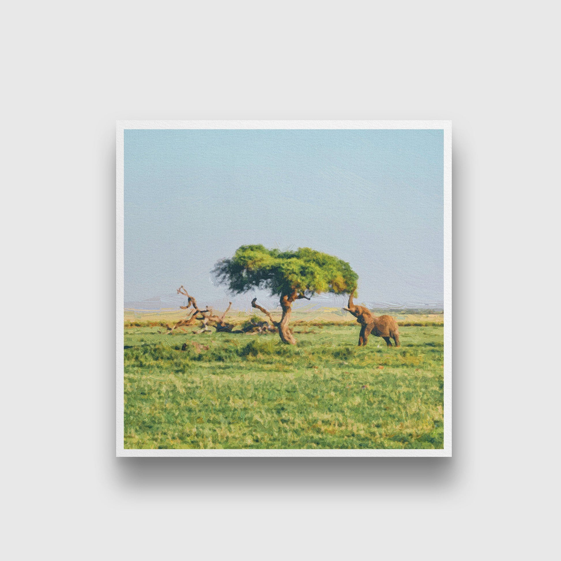 Elephant is standing near the acacia tree Painting - Meri Deewar 1 : 1 Square Premium Wall Art Canvas by MeriDeewar
