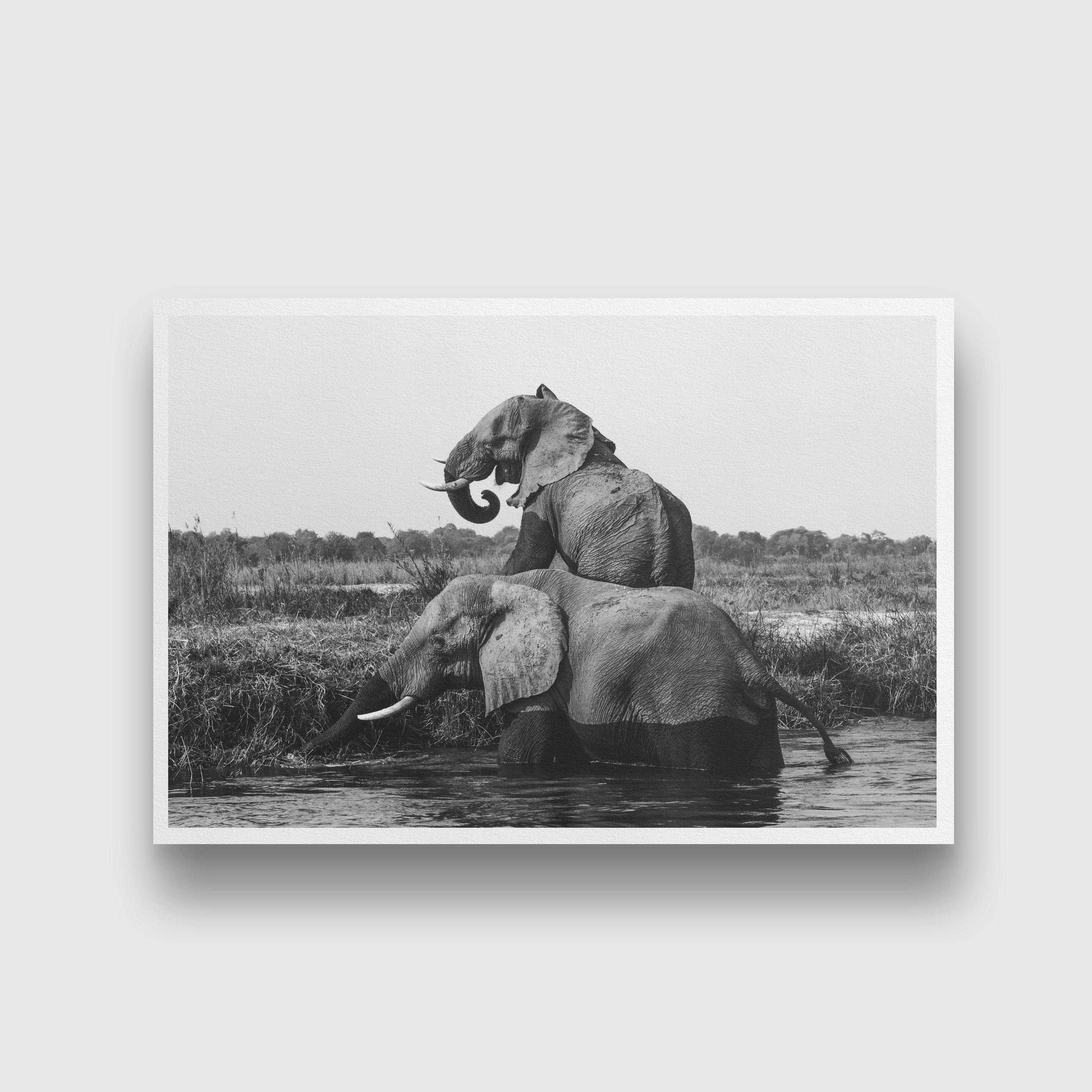 Elephant playing in water painting - Meri Deewar 3 : 2 Horizontal Premium Wall Art Canvas by MeriDeewar