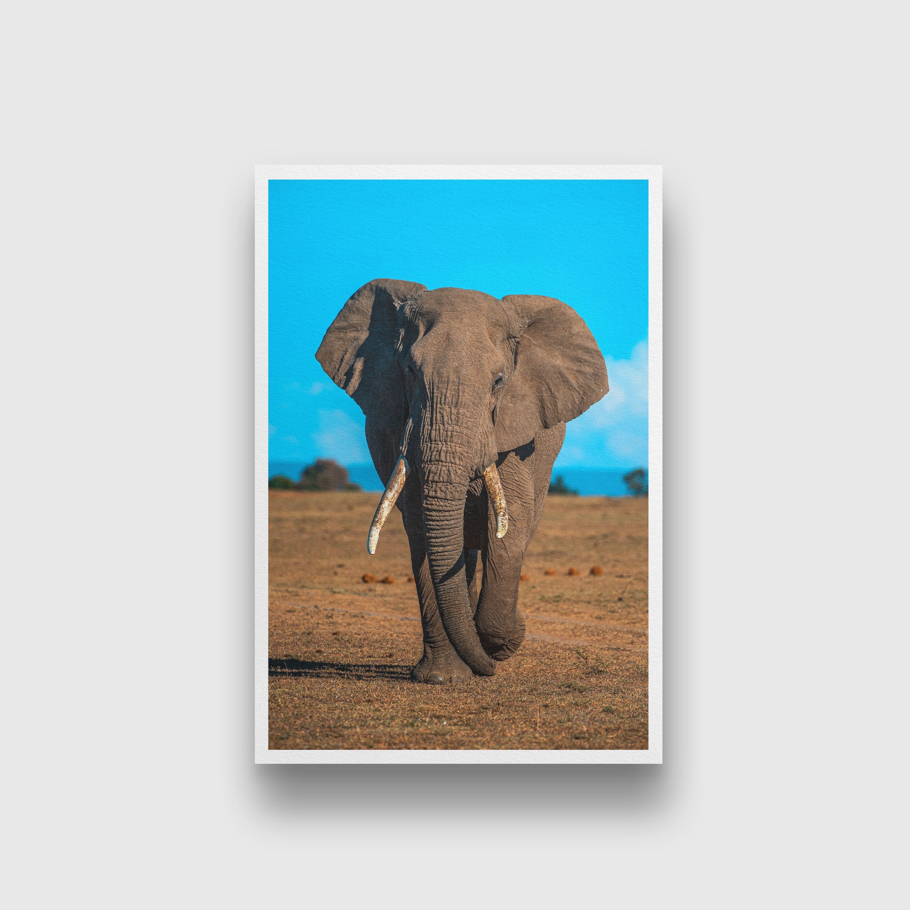 Elephant walking in a forest Painting - Meri Deewar 2 : 3 Vertical Premium Wall Art Canvas by MeriDeewar