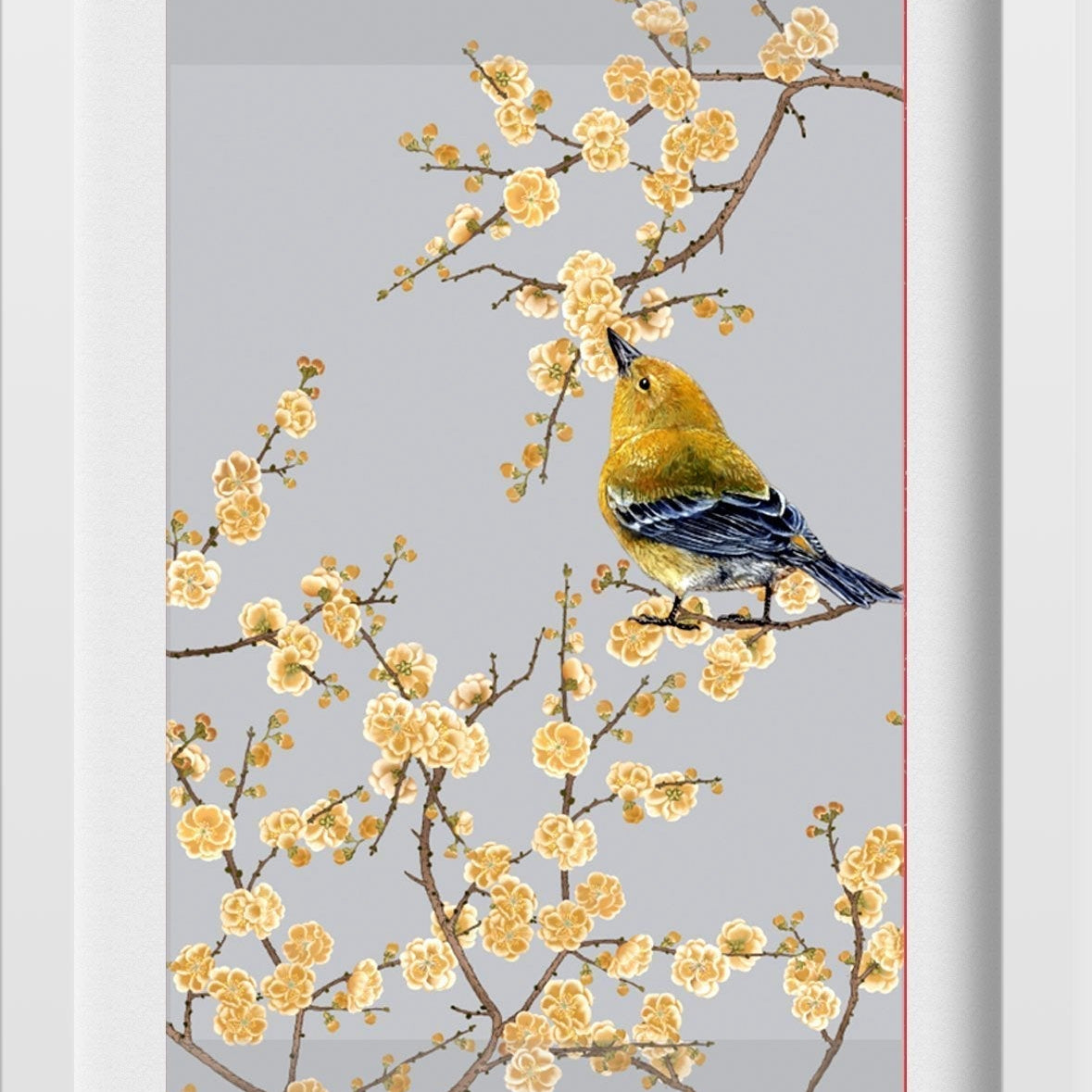 Finch Bird Painting - Meri Deewar 2 : 3 Vertical Premium Wall Art Canvas by MeriDeewar