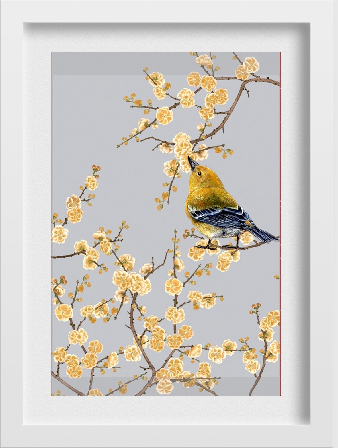 Finch Bird Painting - Meri Deewar 2 : 3 Vertical Premium Wall Art Canvas by MeriDeewar