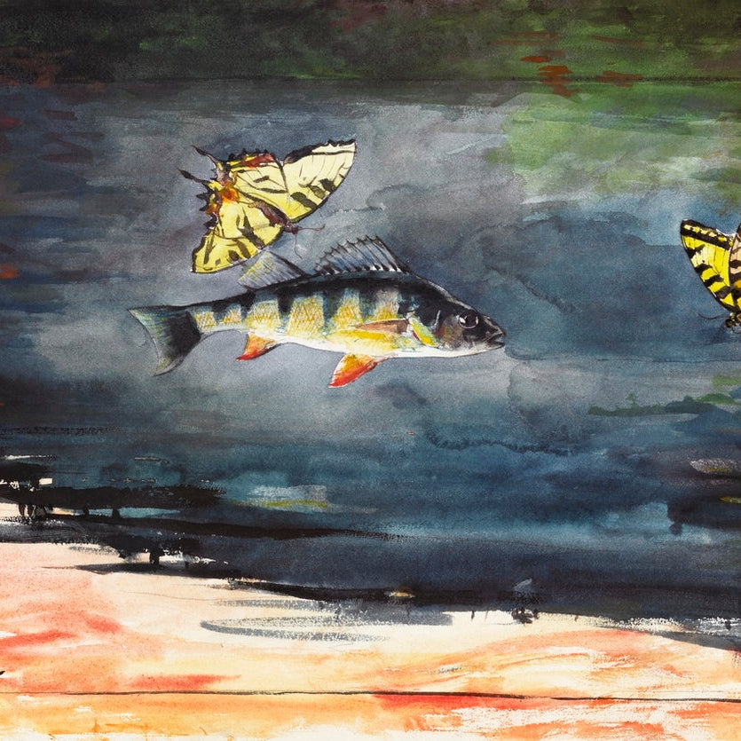 Fish and Butterflies painting - Meri Deewar 3 : 2 Horizontal Premium Wall Art Canvas by MeriDeewar