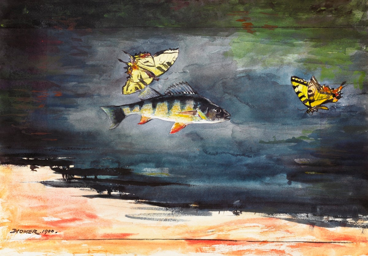 Fish and Butterflies painting - Meri Deewar 3 : 2 Horizontal Premium Wall Art Canvas by MeriDeewar