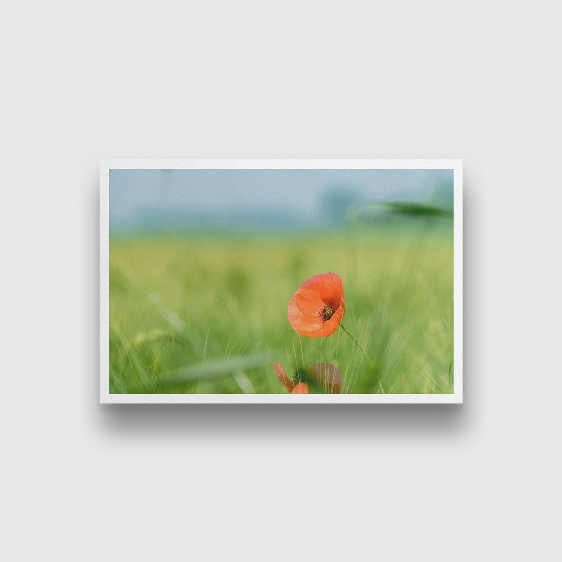 Flower in Meadow Wall Art Painting - Meri Deewar 3 : 2 Horizontal Premium Wall Art Canvas by MeriDeewar