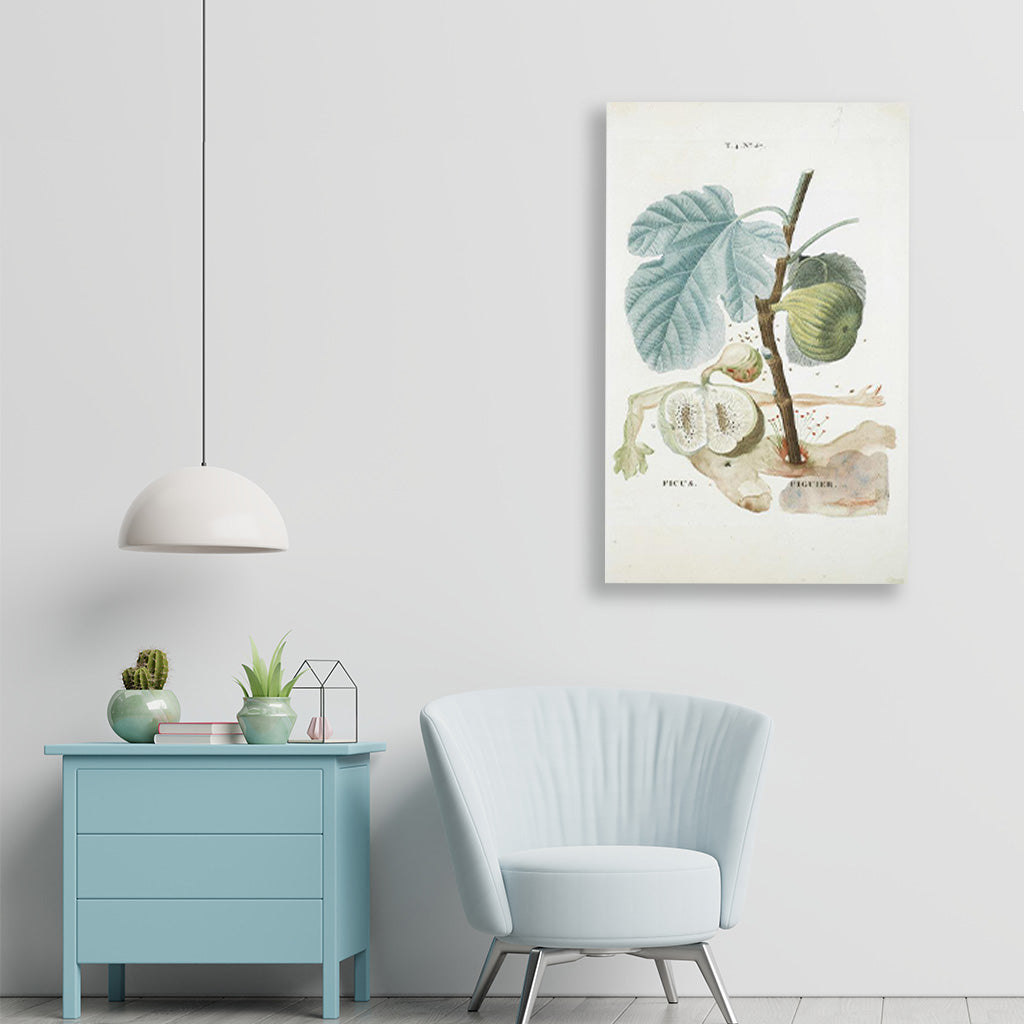 fruit series Painting -  Meri Deewar 3 : 4 Vertical Premium Wall Art Canvas by MeriDeewar