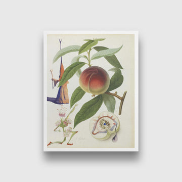 fruitseries Painting - Meri Deewar 3 : 4 Vertical Premium Wall Art Canvas by MeriDeewar
