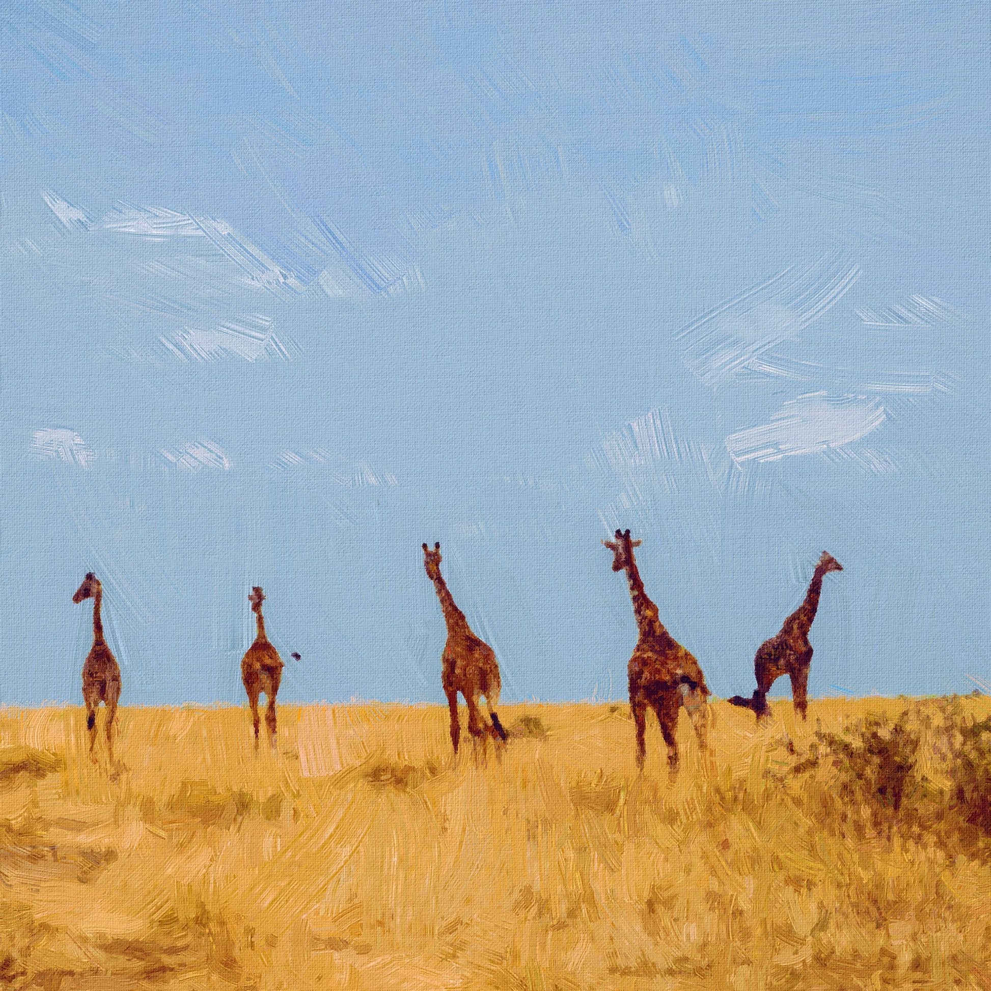 Giraffe Family Painting - Meri Deewar 1 : 1 Square Premium Wall Art Canvas by MeriDeewar