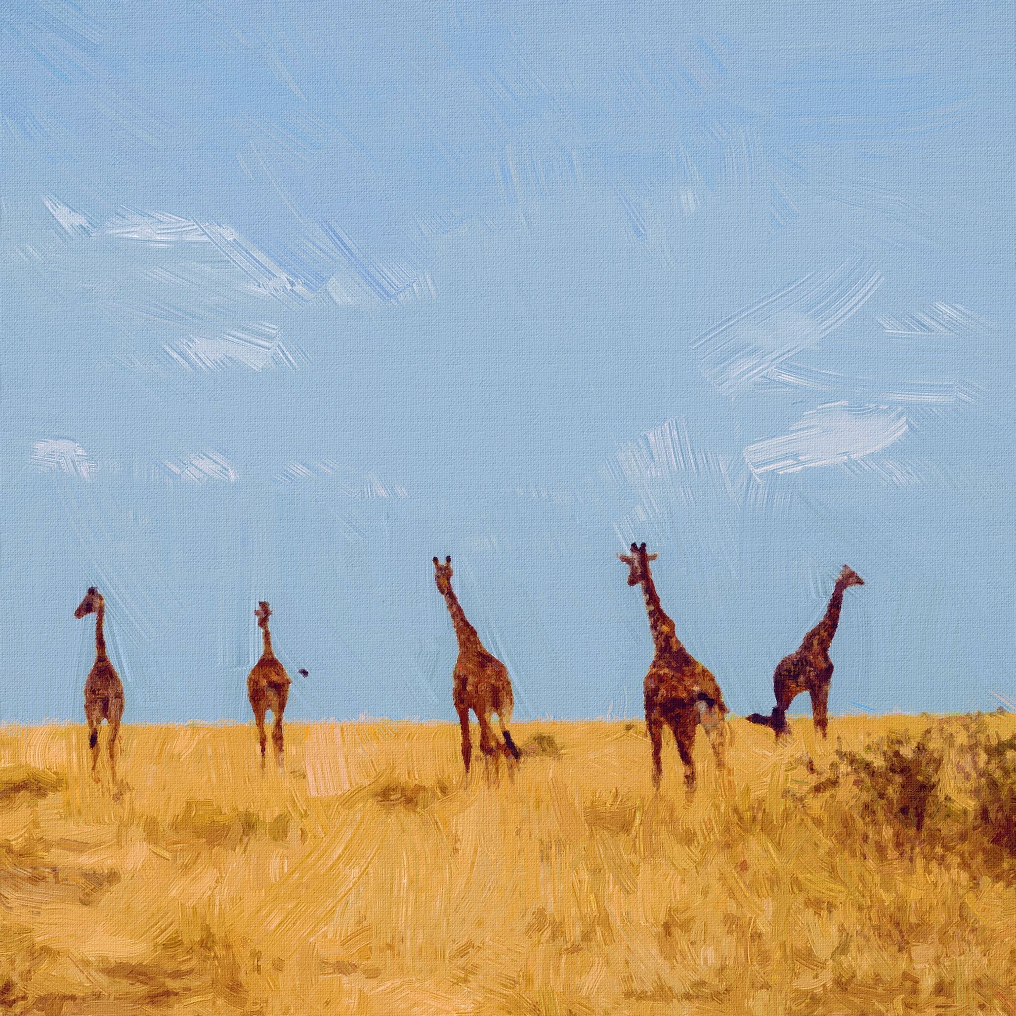 Giraffe Family Painting - Meri Deewar 1 : 1 Square Premium Wall Art Canvas by MeriDeewar