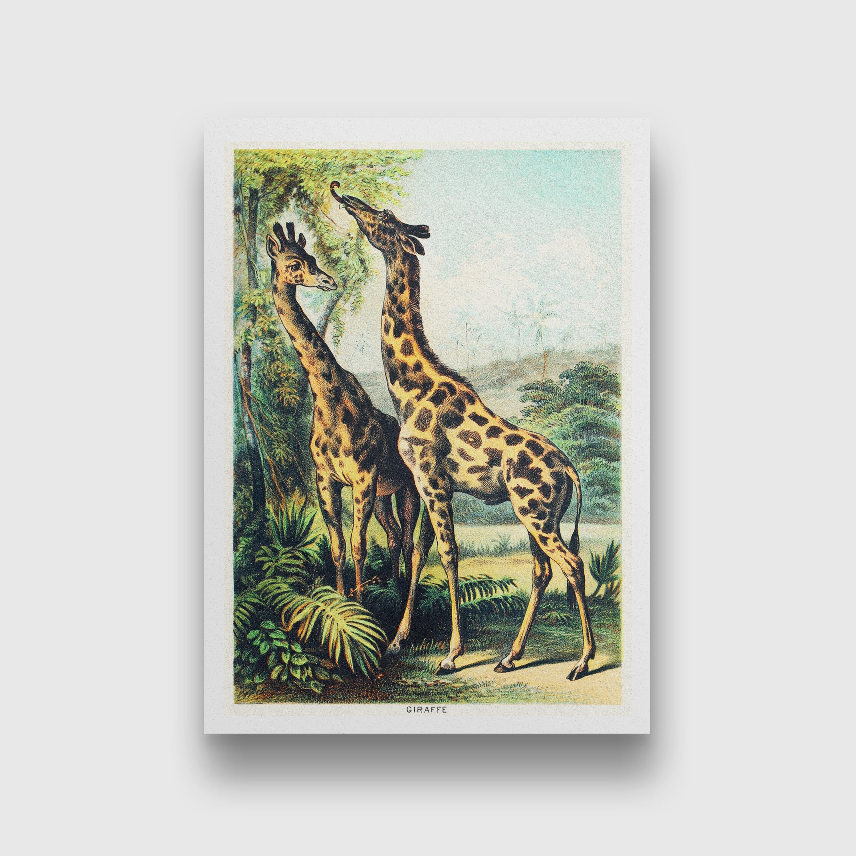Giraffe - painting 3 : 4.2 Vertical Premium Wall Art Canvas by MeriDeewar