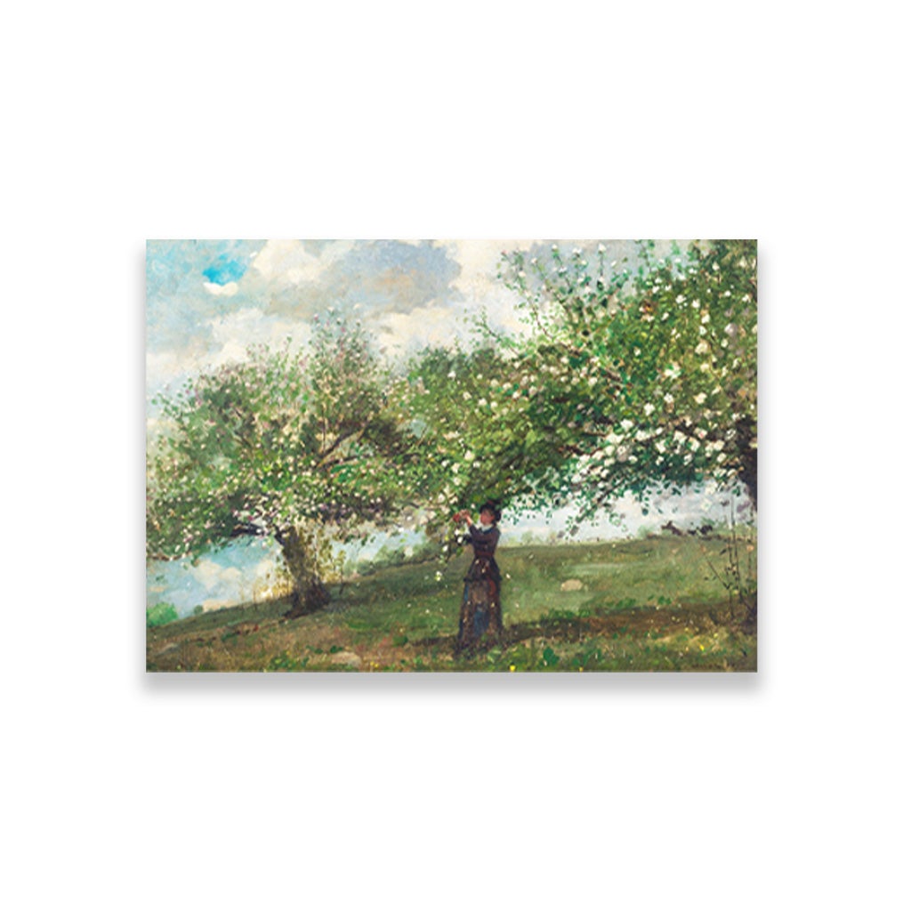 Girl Picking Apple Blossoms painting - Meri Deewar 3 : 2 Horizontal Premium Wall Art Canvas by MeriDeewar