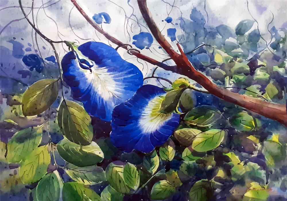 Gokarna Flower Watercolour Painting - Meri Deewar 3 : 2 Horizontal Premium Wall Art Canvas by MeriDeewar