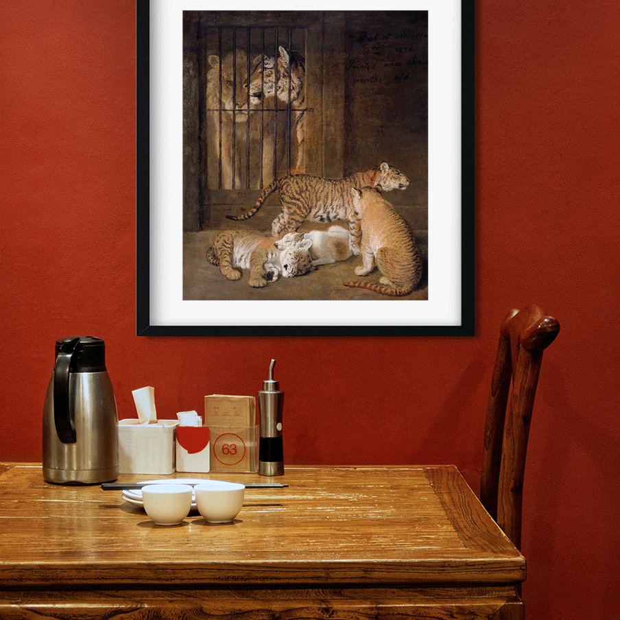 Group of Whelps Bred between a Lion and a Tigress Painting 5 : 6 Vertical Premium Wall Art Canvas by MeriDeewar