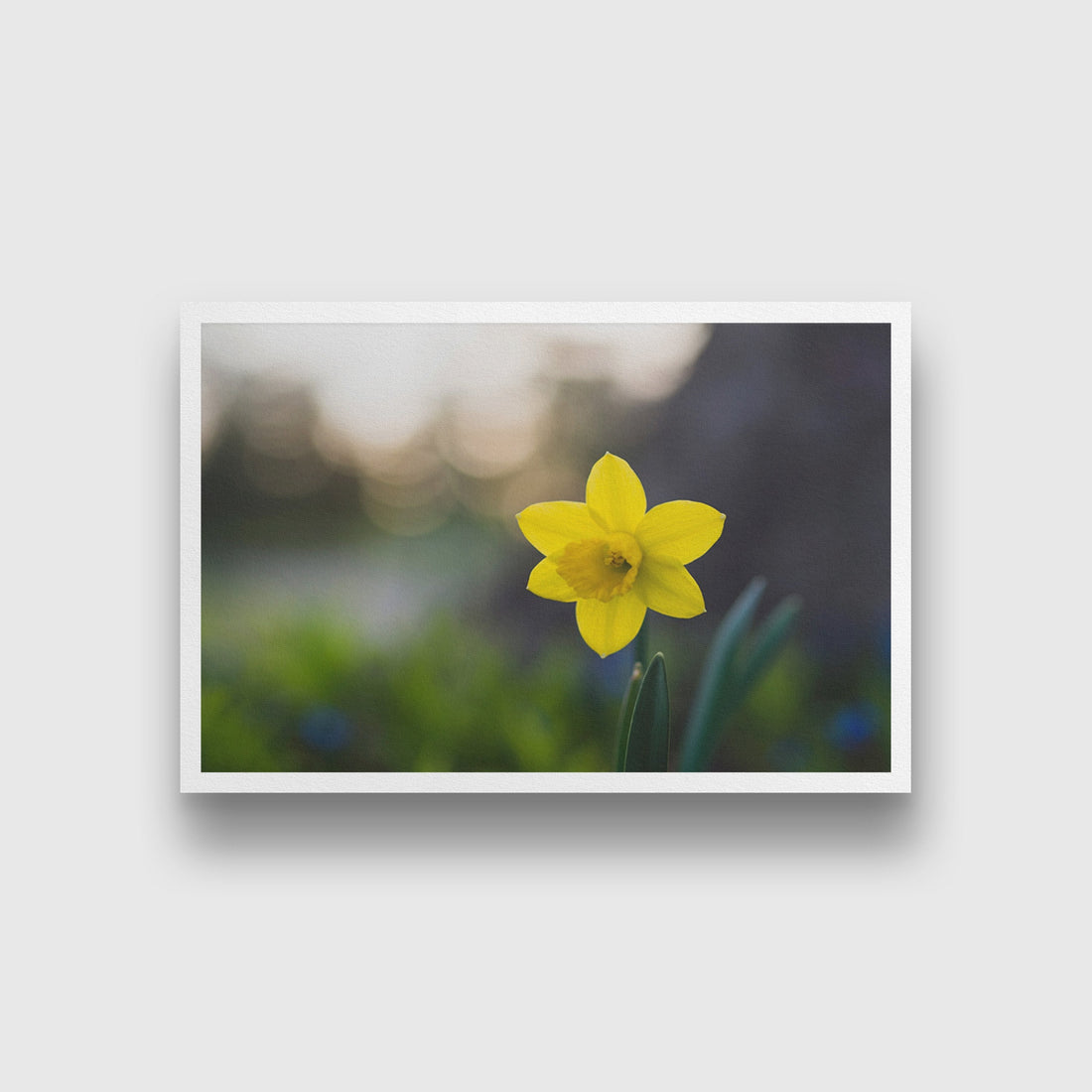 Hello Lily Painting - Meri Deewar 3 : 2 Horizontal Premium Wall Art Canvas by MeriDeewar