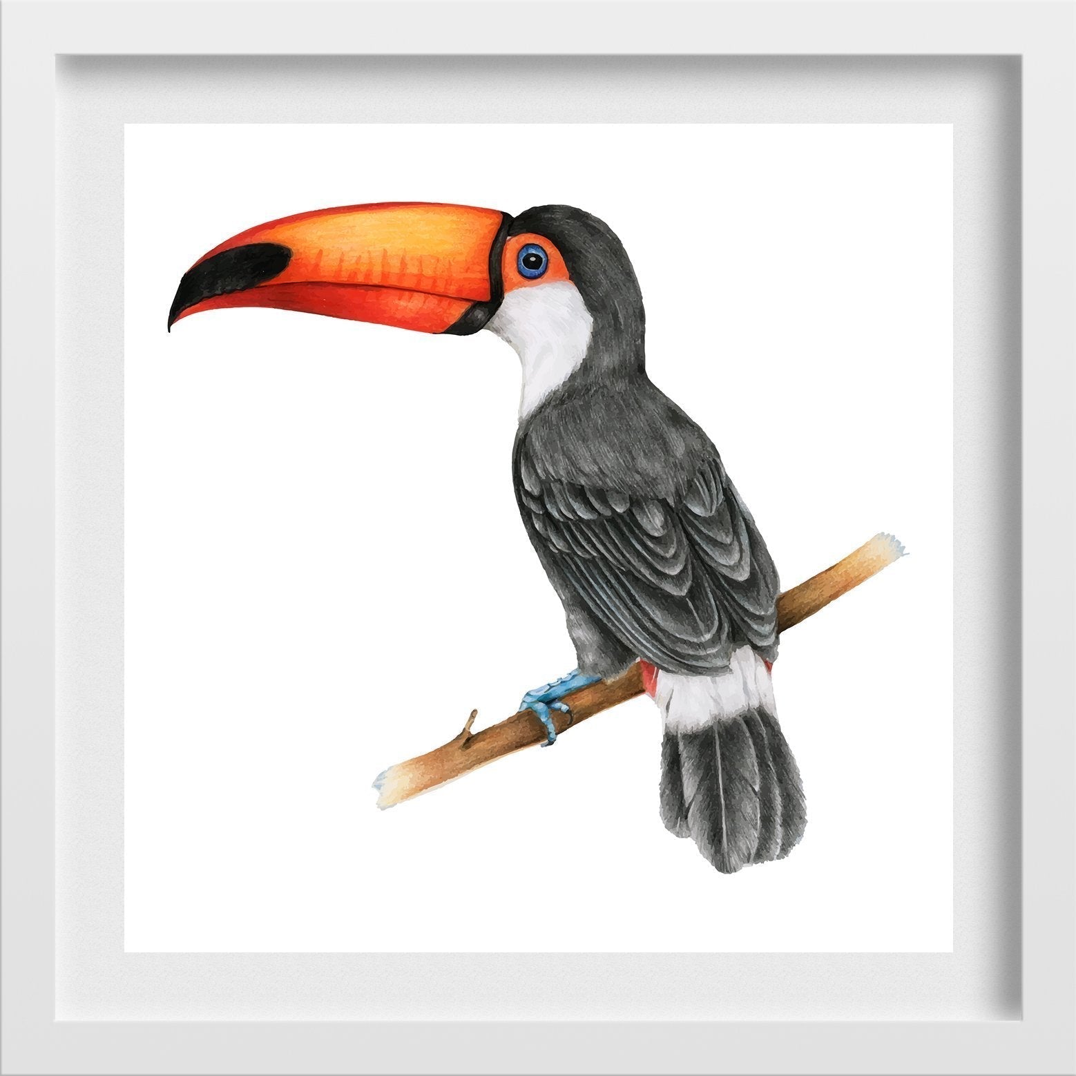 Illustration of Hornbills bird watercolour Painting - Meri Deewar 1 : 1 Square Premium Wall Art Canvas by MeriDeewar