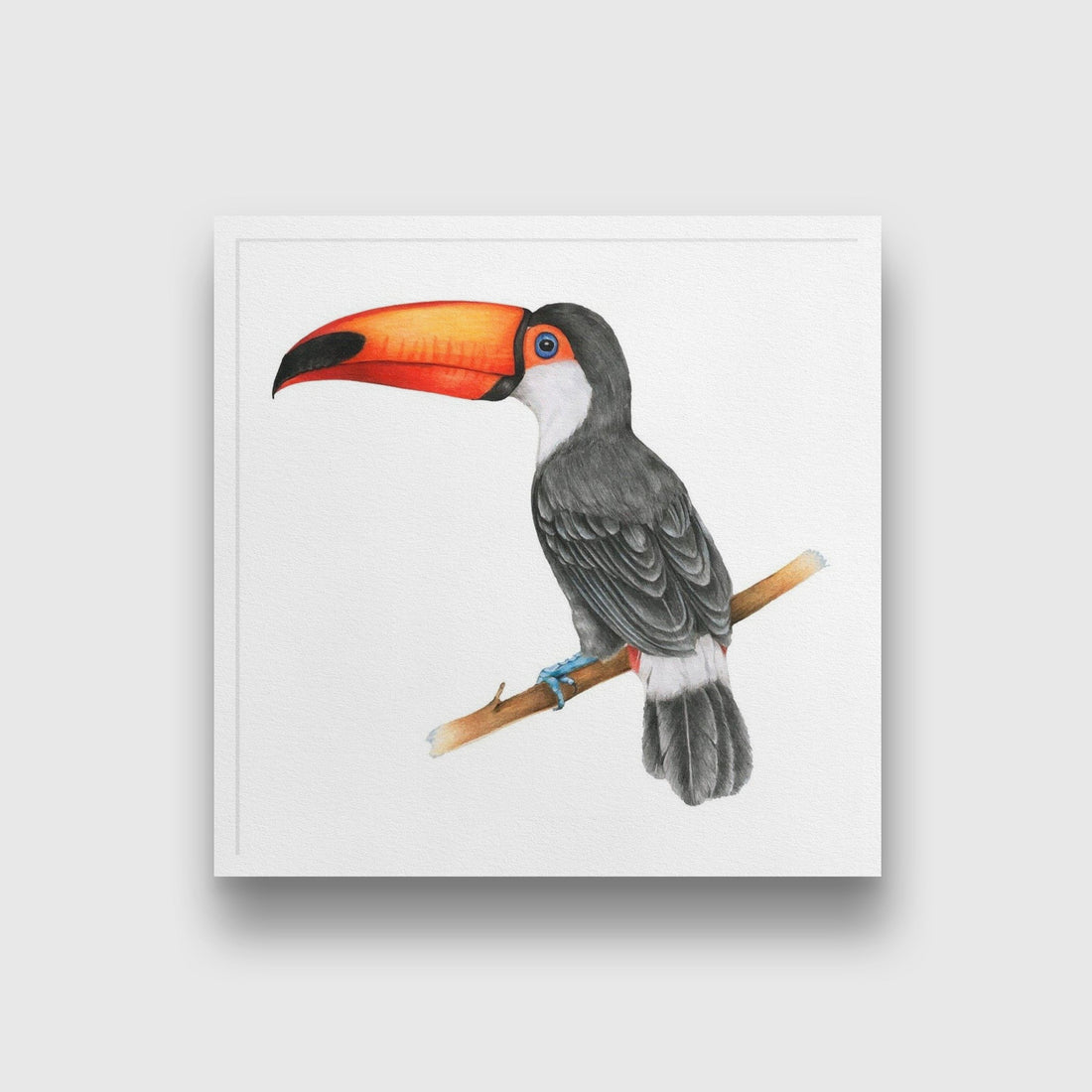 Illustration of Hornbills bird watercolour Painting - Meri Deewar 1 : 1 Square Premium Wall Art Canvas by MeriDeewar