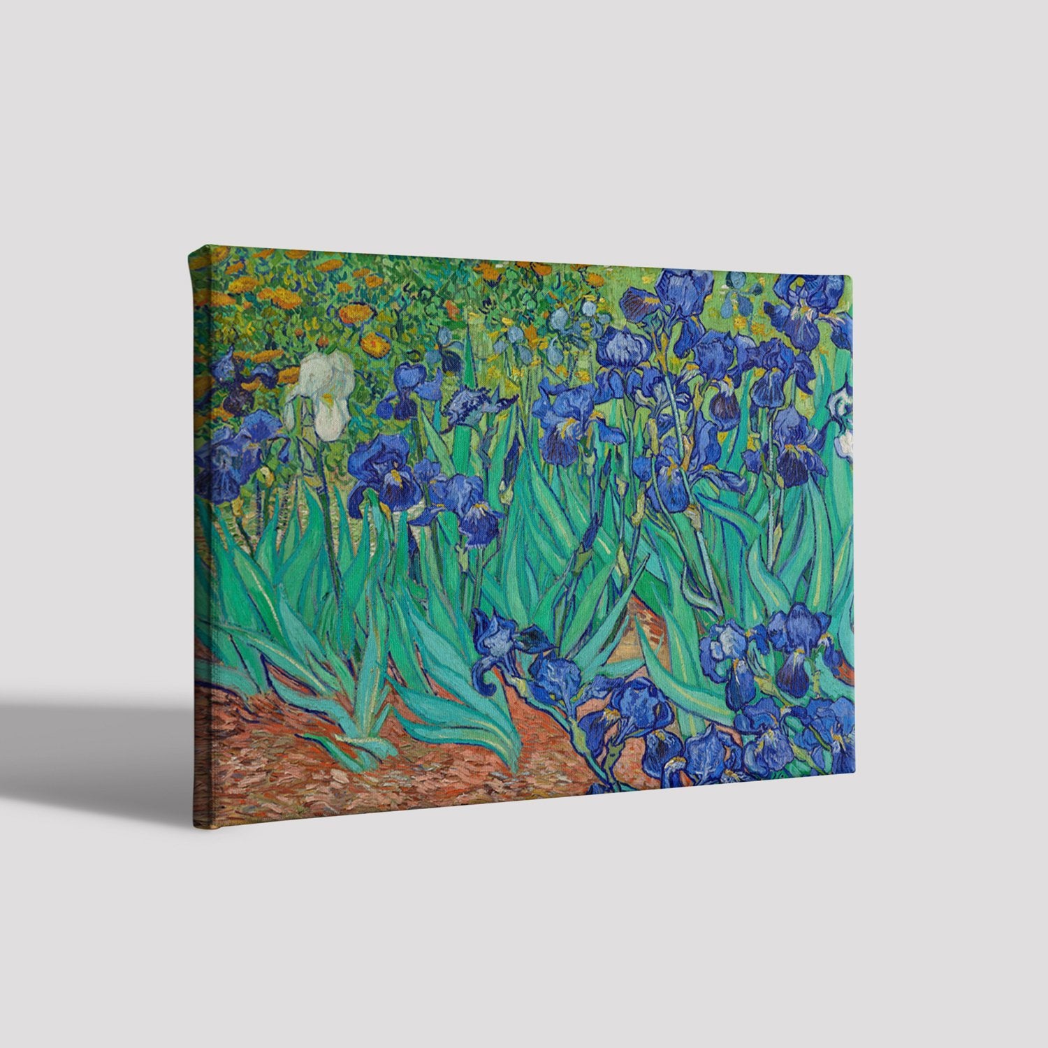 Irises growing in a garden By Van Gogh Painting - Meri Deewar 5 : 4 Horizontal Premium Wall Art Canvas by MeriDeewar