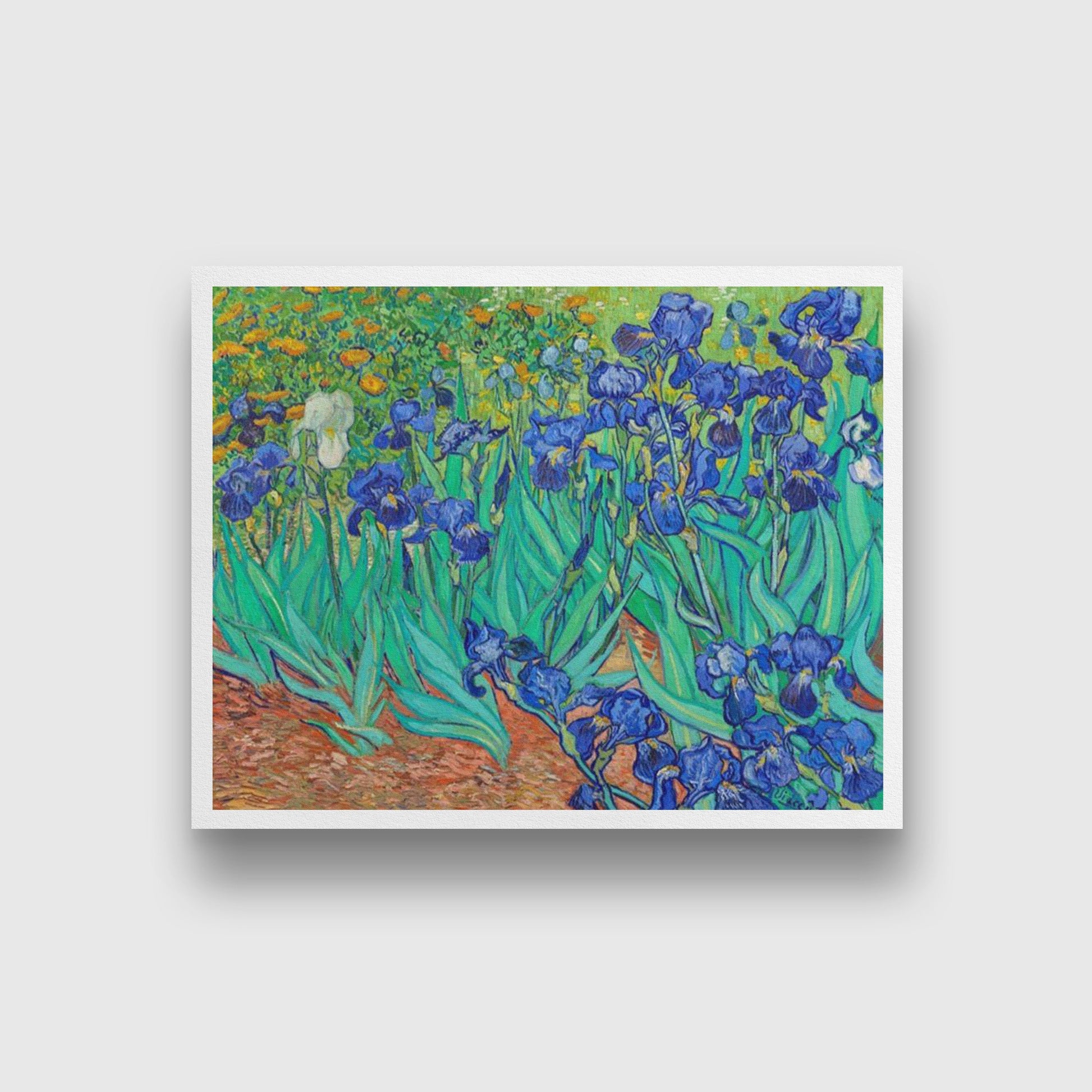 Irises growing in a garden By Van Gogh Painting - Meri Deewar 5 : 4 Horizontal Premium Wall Art Canvas by MeriDeewar