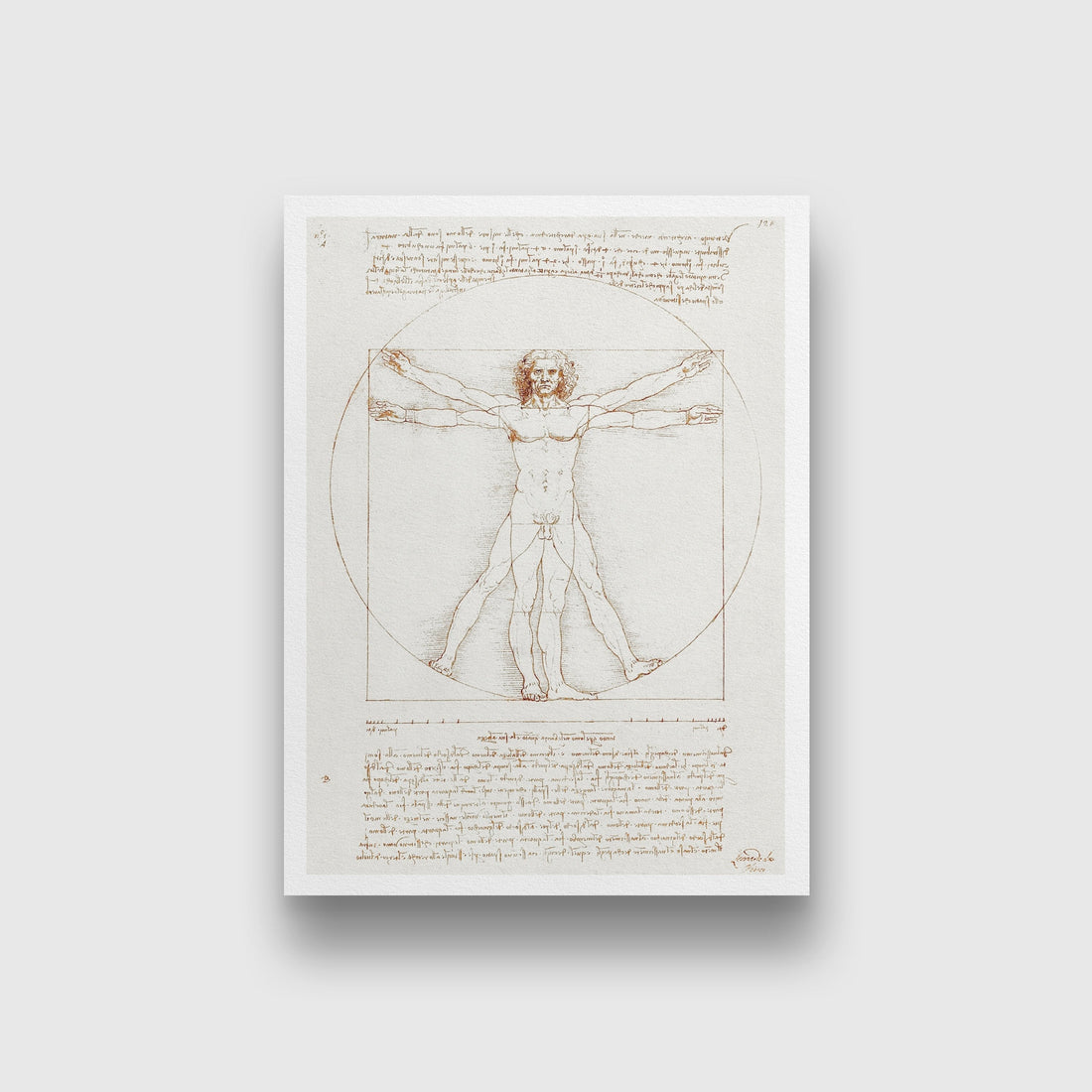 Leonardo da Vinci's Vitruvian Man Painting - Meri Deewar 4 X 5.5 Vertical Premium Wall Art Canvas by MeriDeewar
