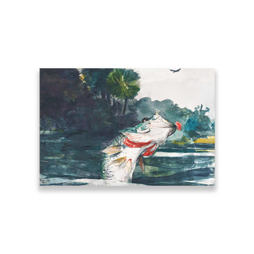 Life Size Black Bass painting - Meri Deewar 3 : 2 Horizontal Premium Wall Art Canvas by MeriDeewar