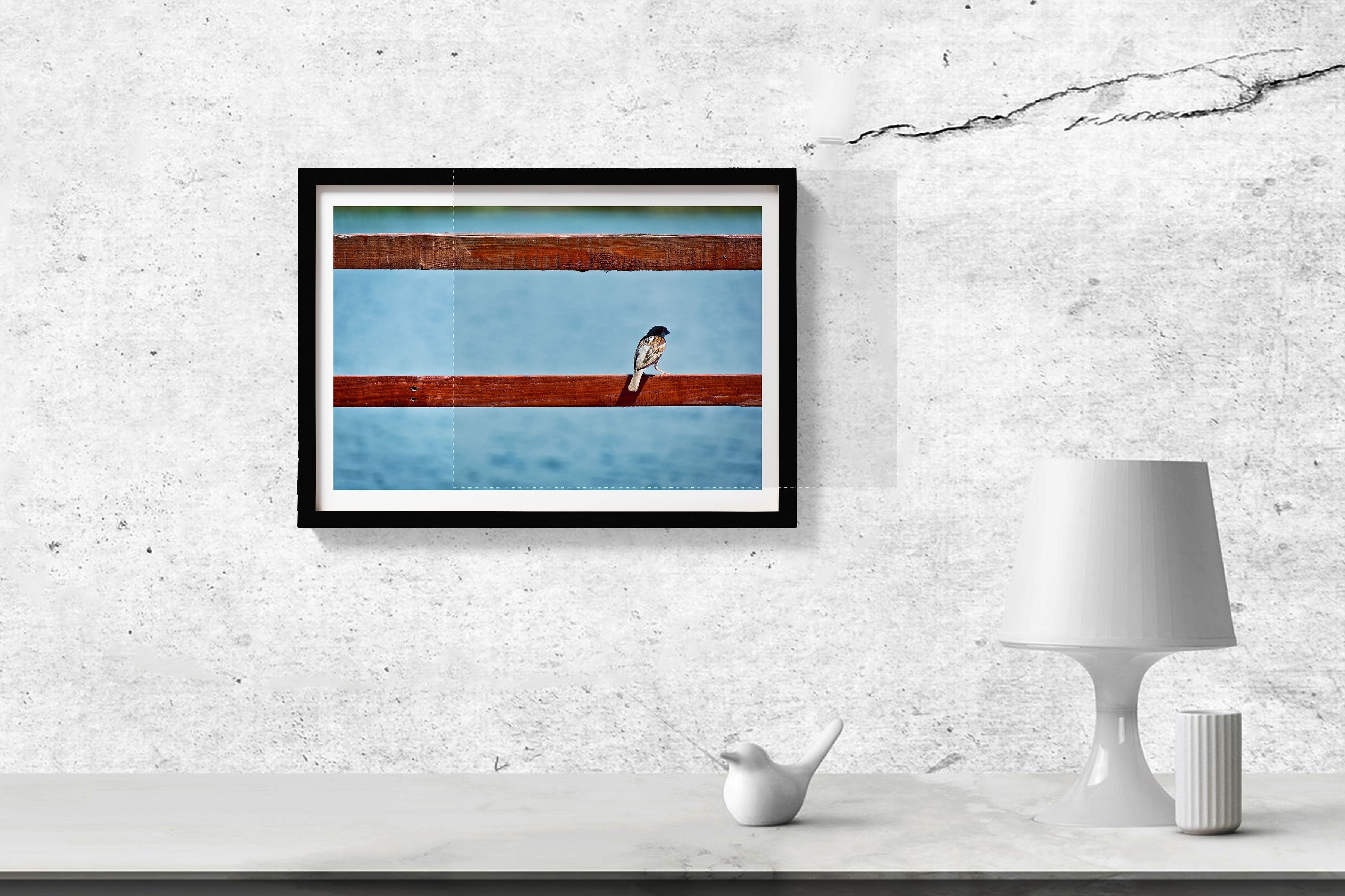 Little Bird Painting - Meri Deewar 3 : 2 Horizontal Premium Wall Art Canvas by MeriDeewar