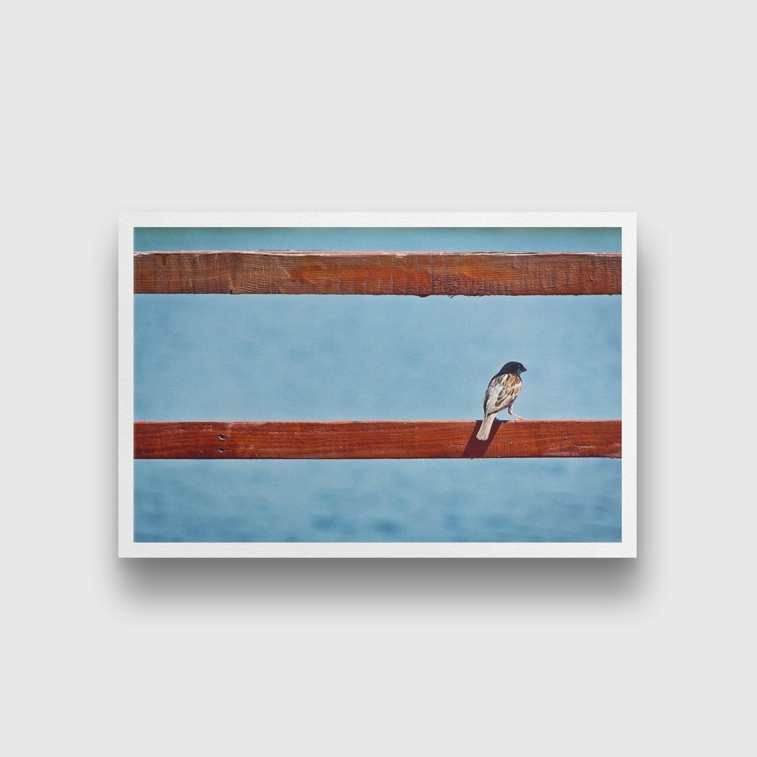 Little Bird Painting - Meri Deewar 3 : 2 Horizontal Premium Wall Art Canvas by MeriDeewar