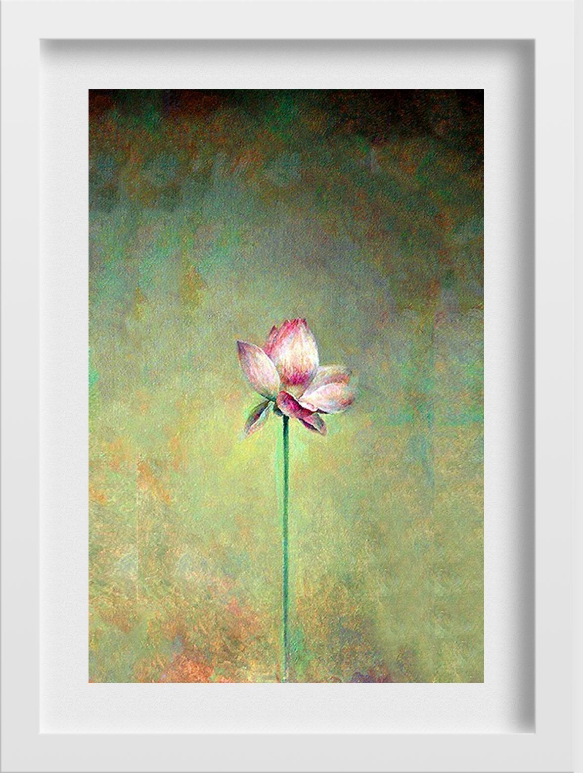 Lotus Painting - Meri Deewar 2 : 3 Vertical Premium Wall Art Canvas by MeriDeewar