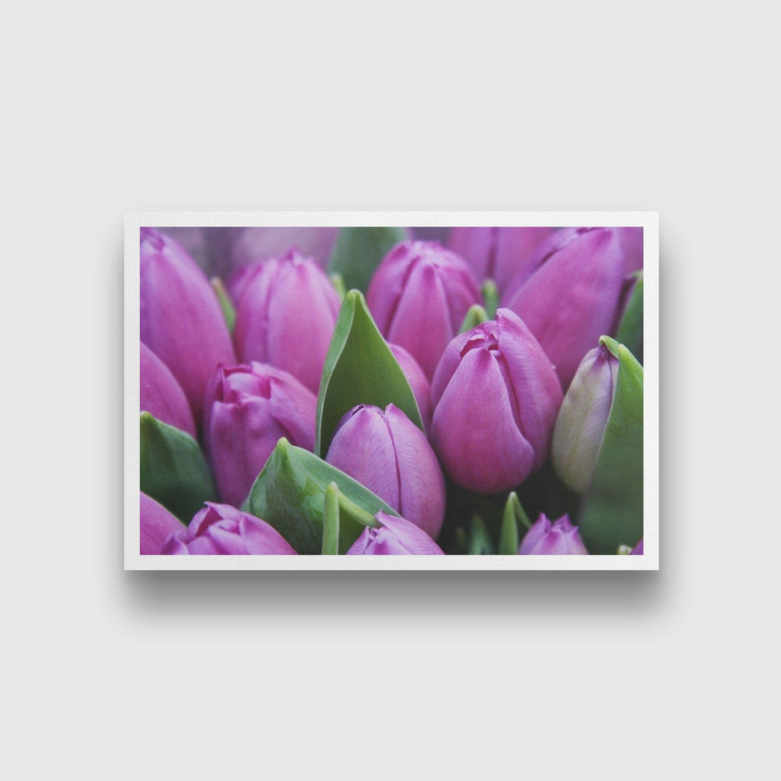 Love for Magenta Painting - Meri Deewar 3 : 2 Horizontal Premium Wall Art Canvas by MeriDeewar