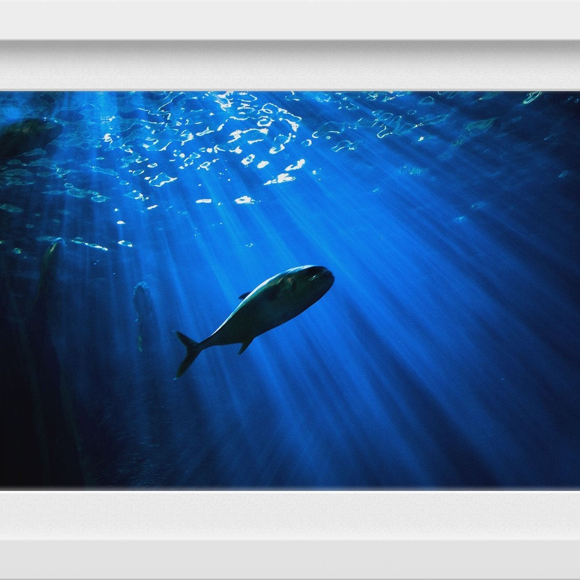 Mighty Whale Painting - Meri Deewar 3 : 2 Horizontal Premium Wall Art Canvas by MeriDeewar