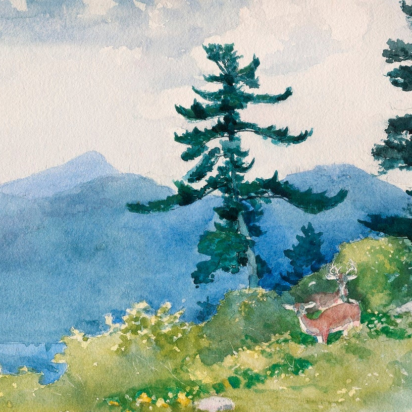 North Woods Club Adirondacks painting - Meri Deewar 3 : 2 Horizontal Premium Wall Art Canvas by MeriDeewar