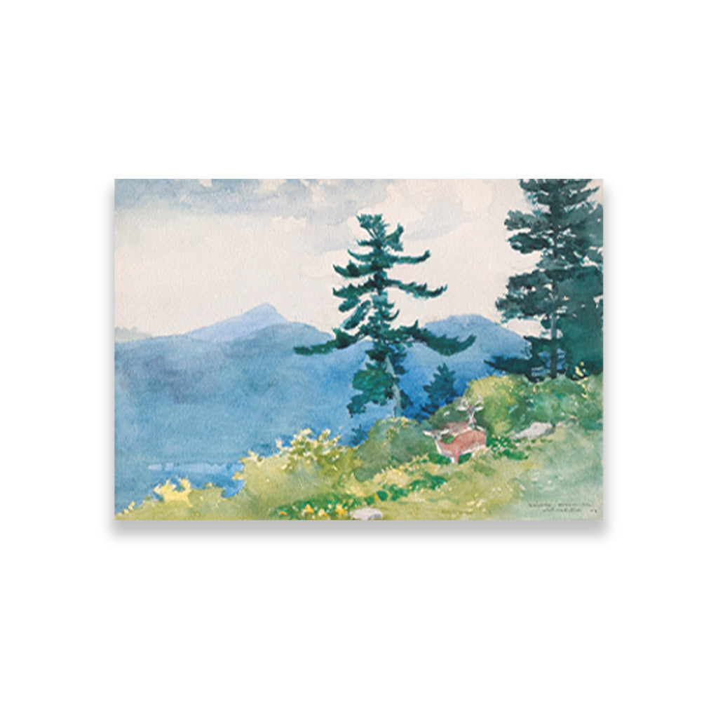 North Woods Club Adirondacks painting - Meri Deewar 3 : 2 Horizontal Premium Wall Art Canvas by MeriDeewar