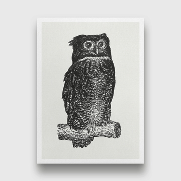 Owl Painting 3 : 4 Vertical Premium Wall Art Canvas by MeriDeewar