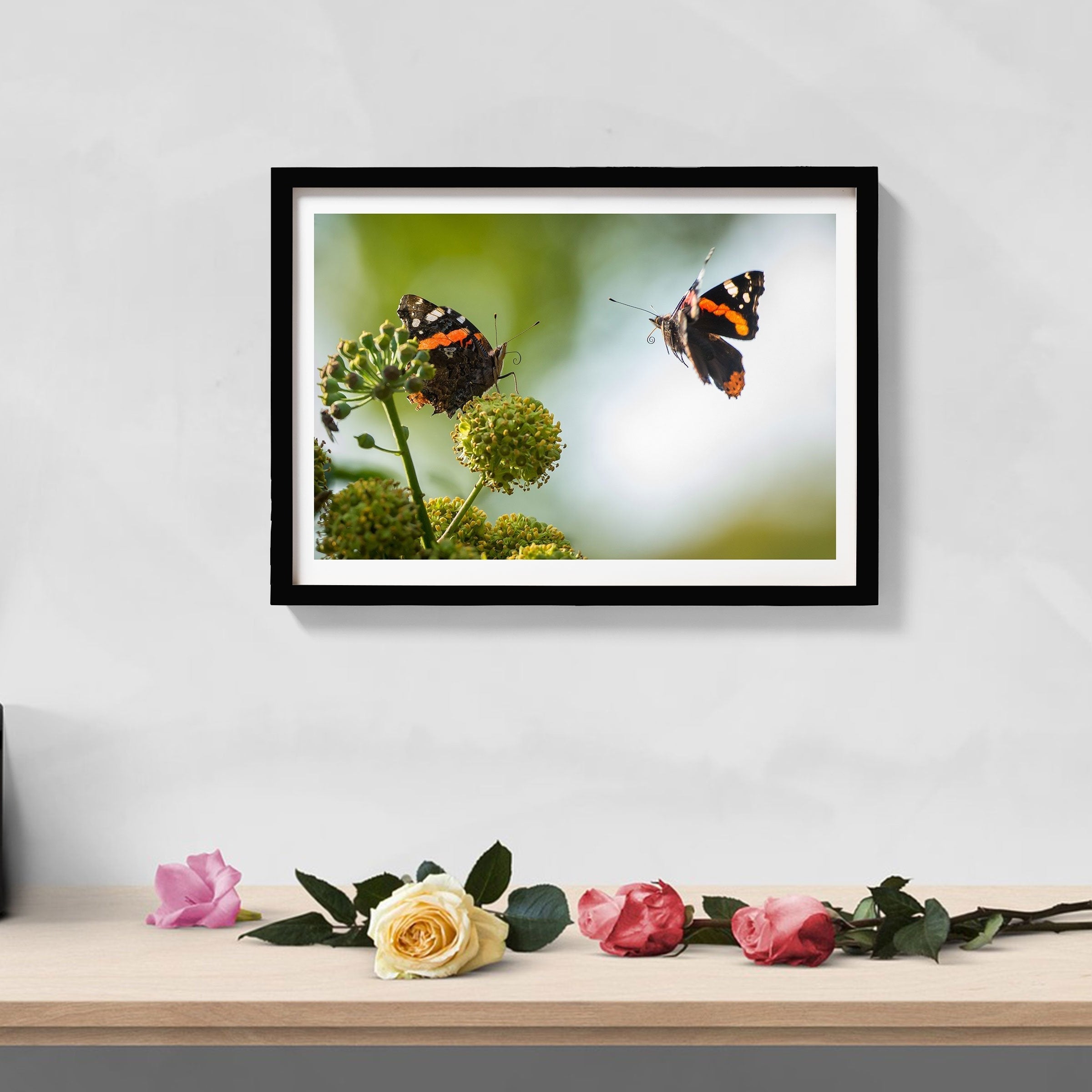 Pair of Butterflies Painting - Meri Deewar 3 : 2 Horizontal Premium Wall Art Canvas by MeriDeewar