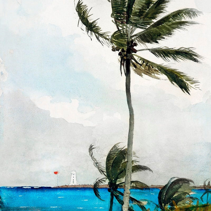Palm Tree, Nassau painting - Meri Deewar 2 : 3 Vertical Premium Wall Art Canvas by MeriDeewar