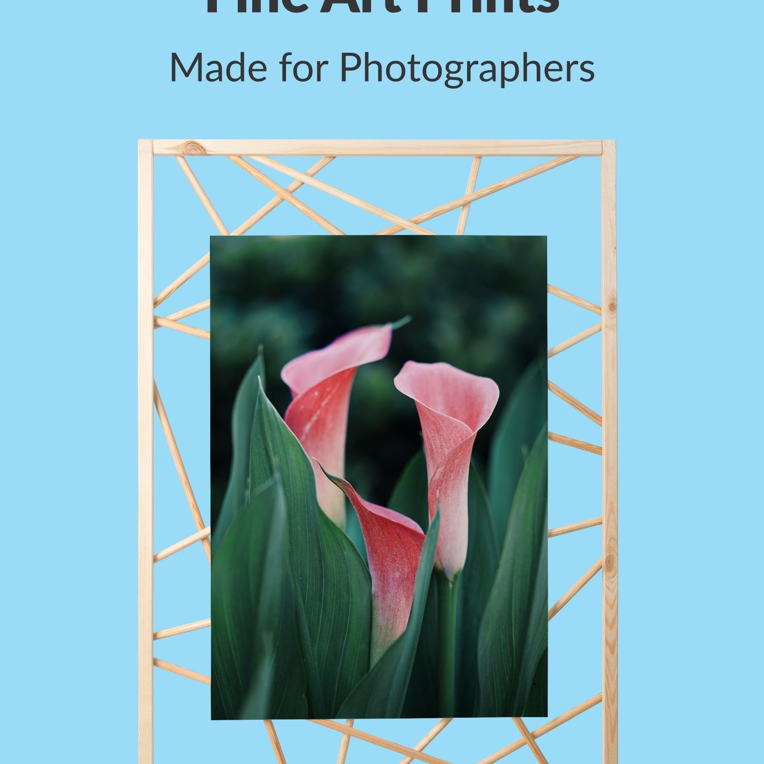 Photo Matte Prints custom Premium Wall Art Canvas by MeriDeewar