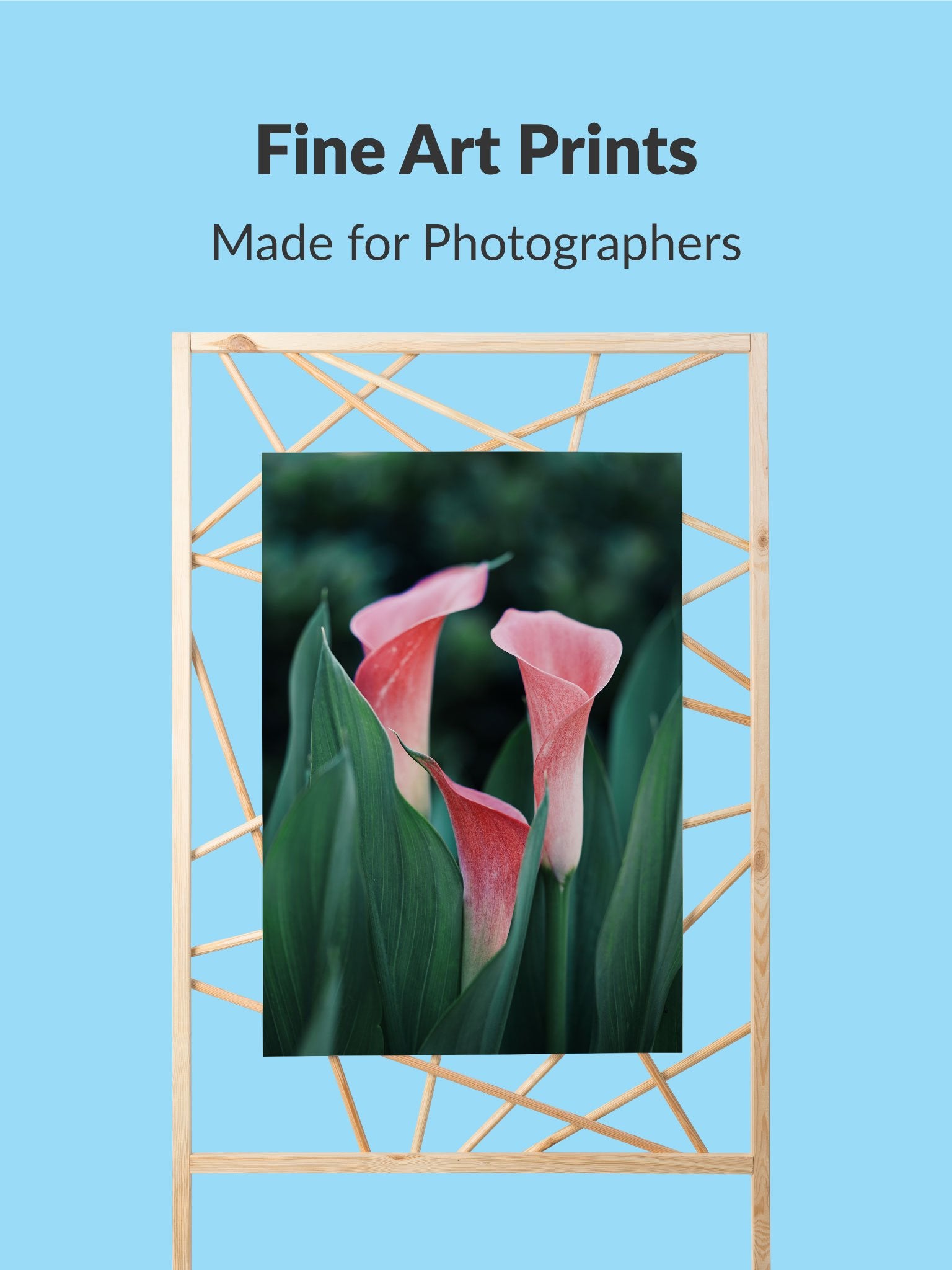 Photo Matte Prints custom Premium Wall Art Canvas by MeriDeewar