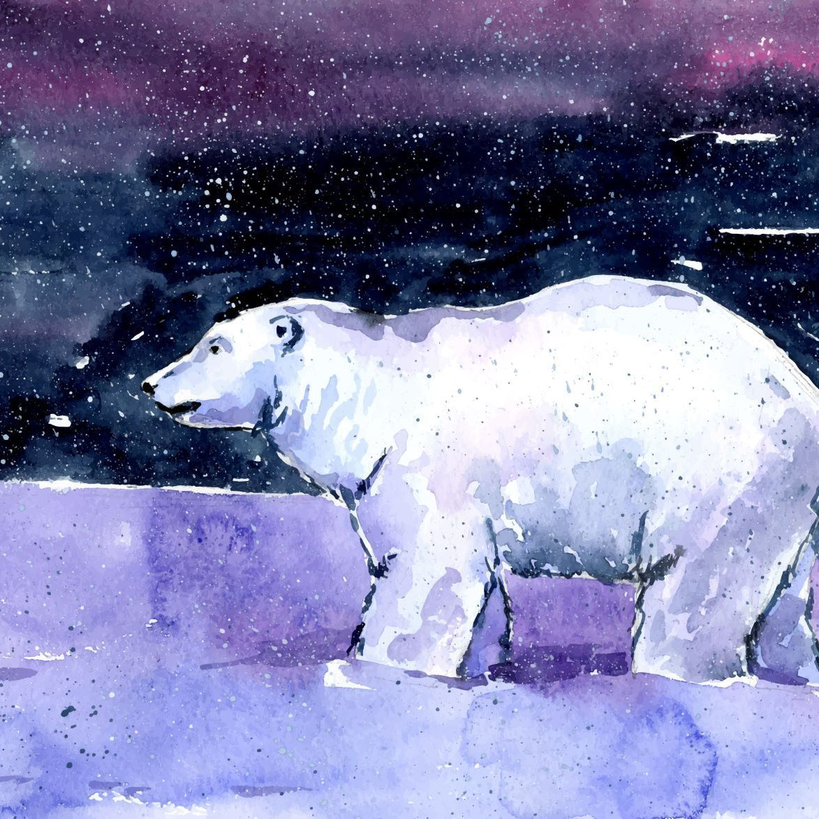 Polar Bear Painting - Meri Deewar 3 : 2 Horizontal Premium Wall Art Canvas by MeriDeewar